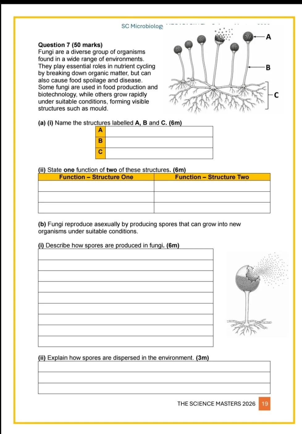 WhatsApp Image 2026-04-22 at 19.19.37 (1).jpeg