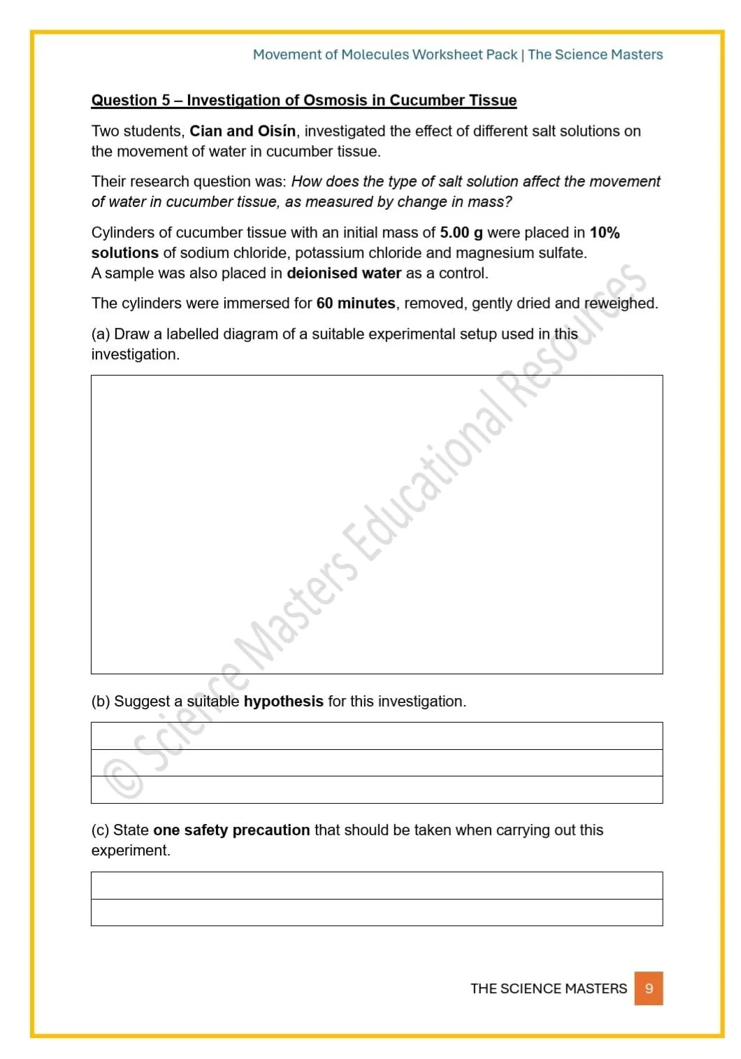 WhatsApp Image 2026-03-07 at 22.55.15 (2).jpeg