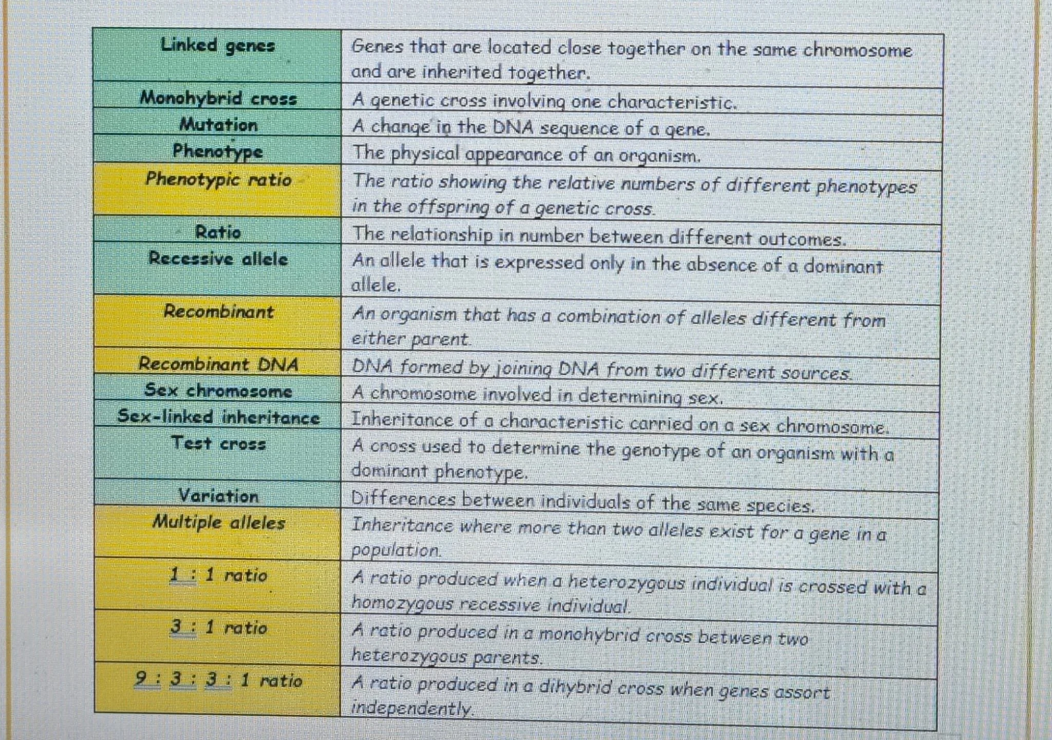 WhatsApp Image 2025-12-16 at 18.09.07 (2).jpeg