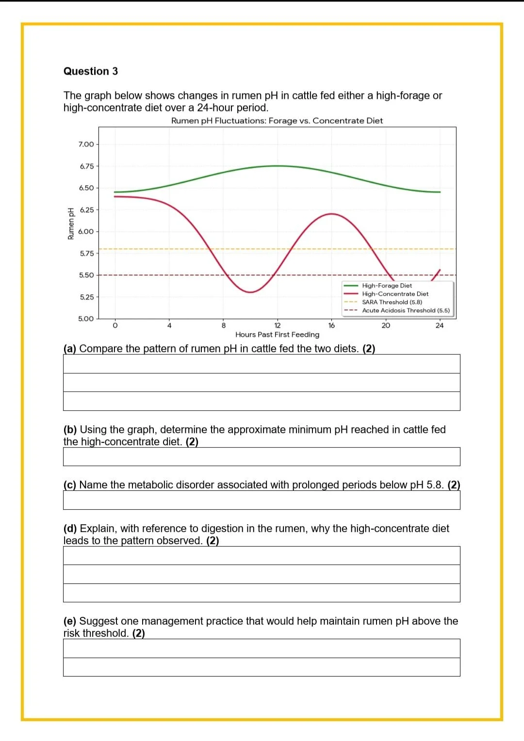 WhatsApp Image 2026-04-02 at 16.31.16.jpeg