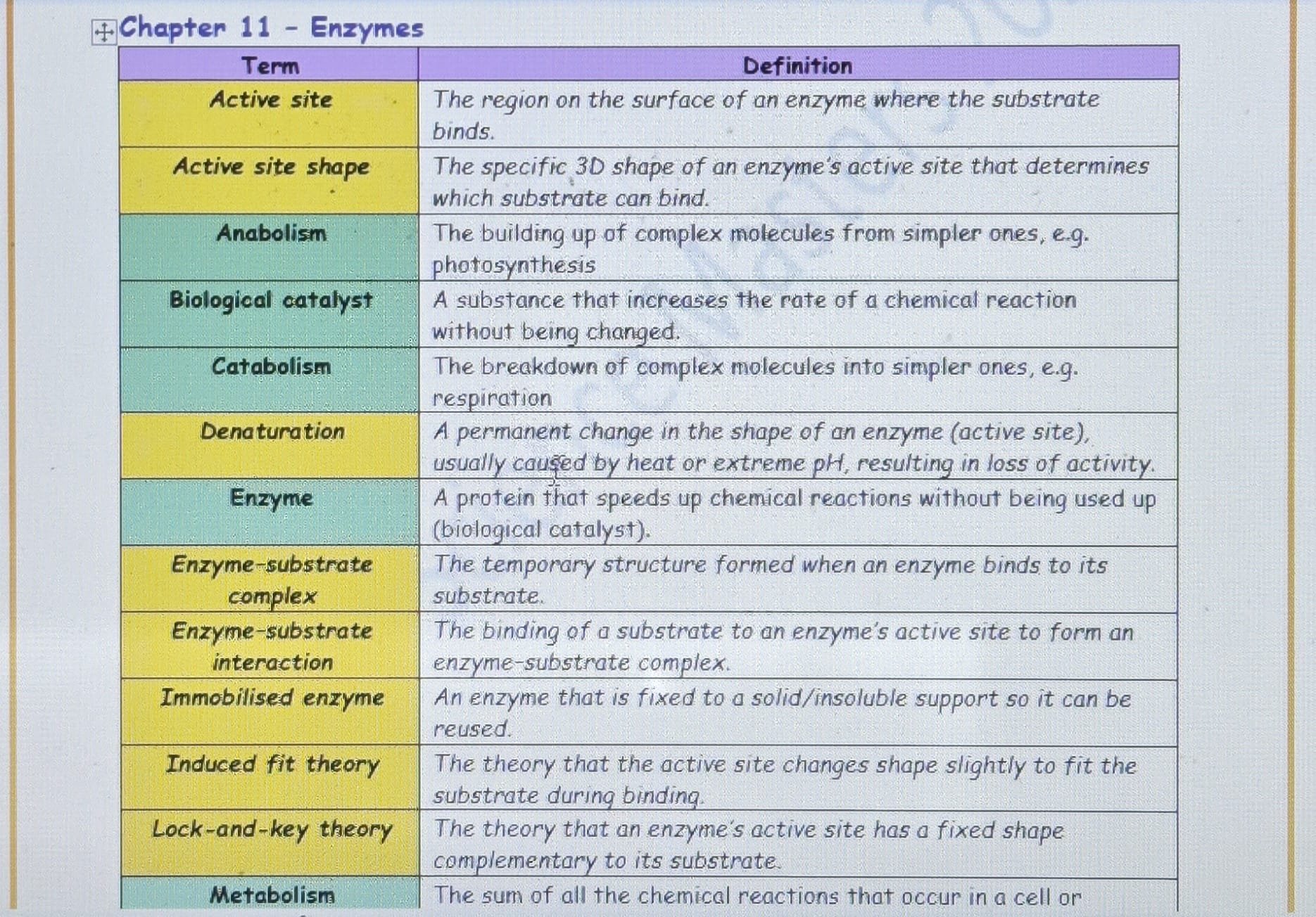 WhatsApp Image 2025-12-16 at 18.09.08.jpeg