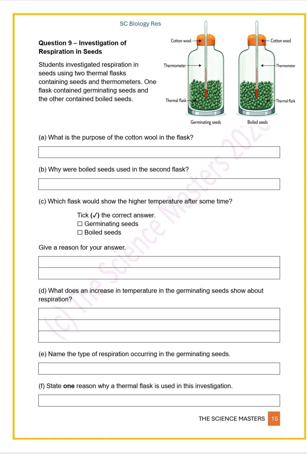 WhatsApp Image 2026-03-10 at 00.03.59 (1).jpeg