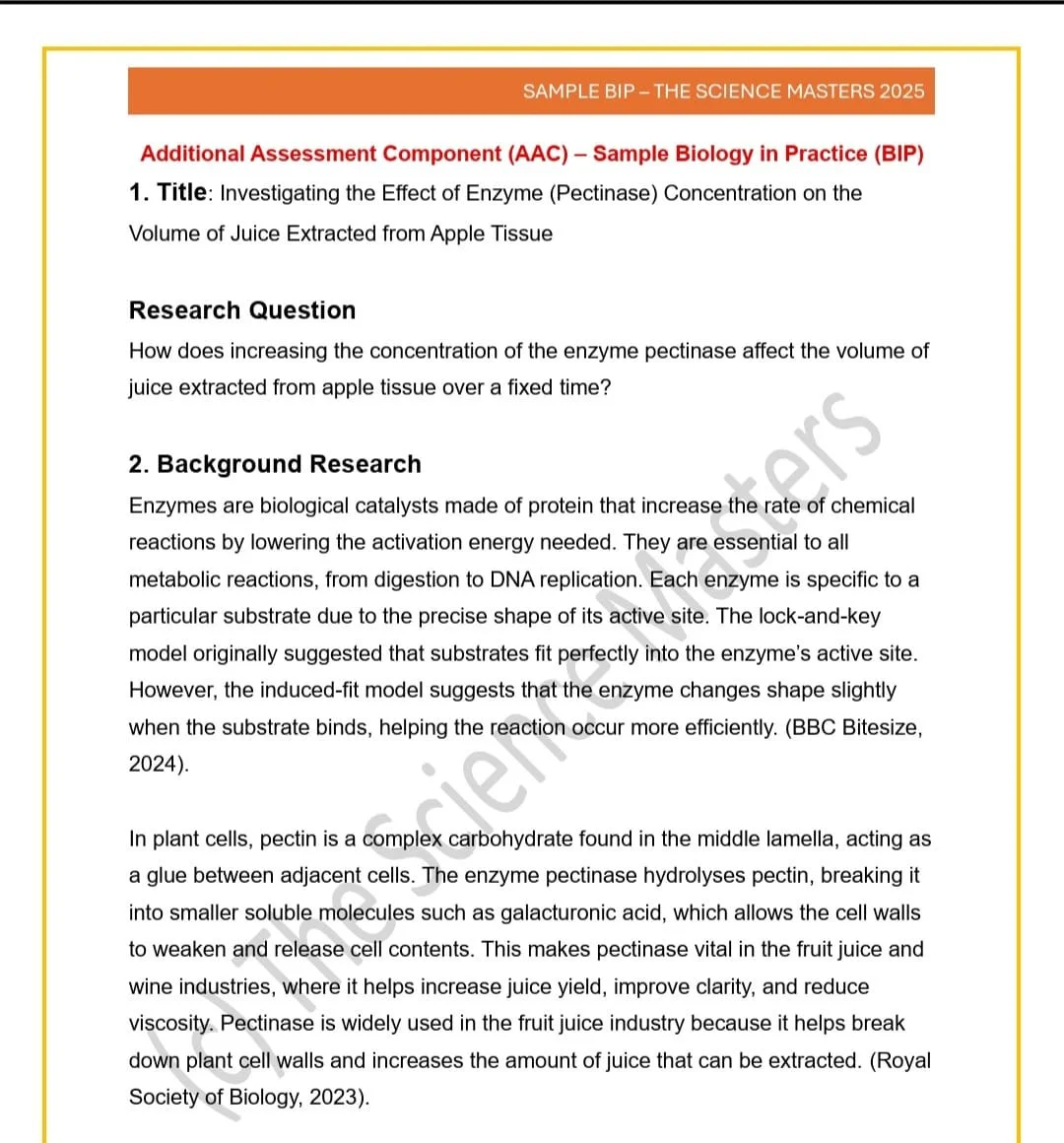 WhatsApp Image 2026-03-04 at 16.36.46 (1).jpeg