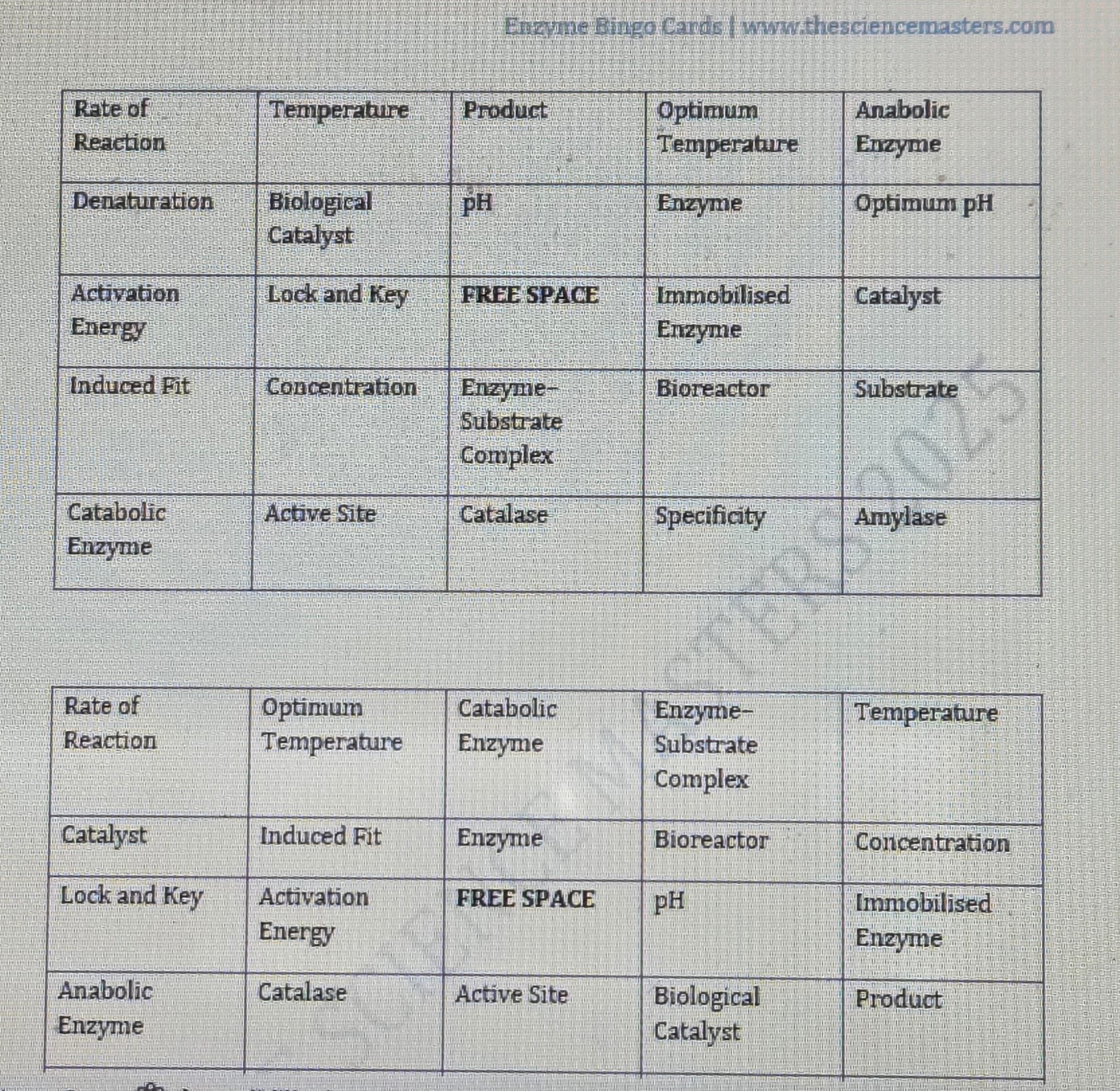 WhatsApp Image 2025-11-30 at 23.44.04.jpeg