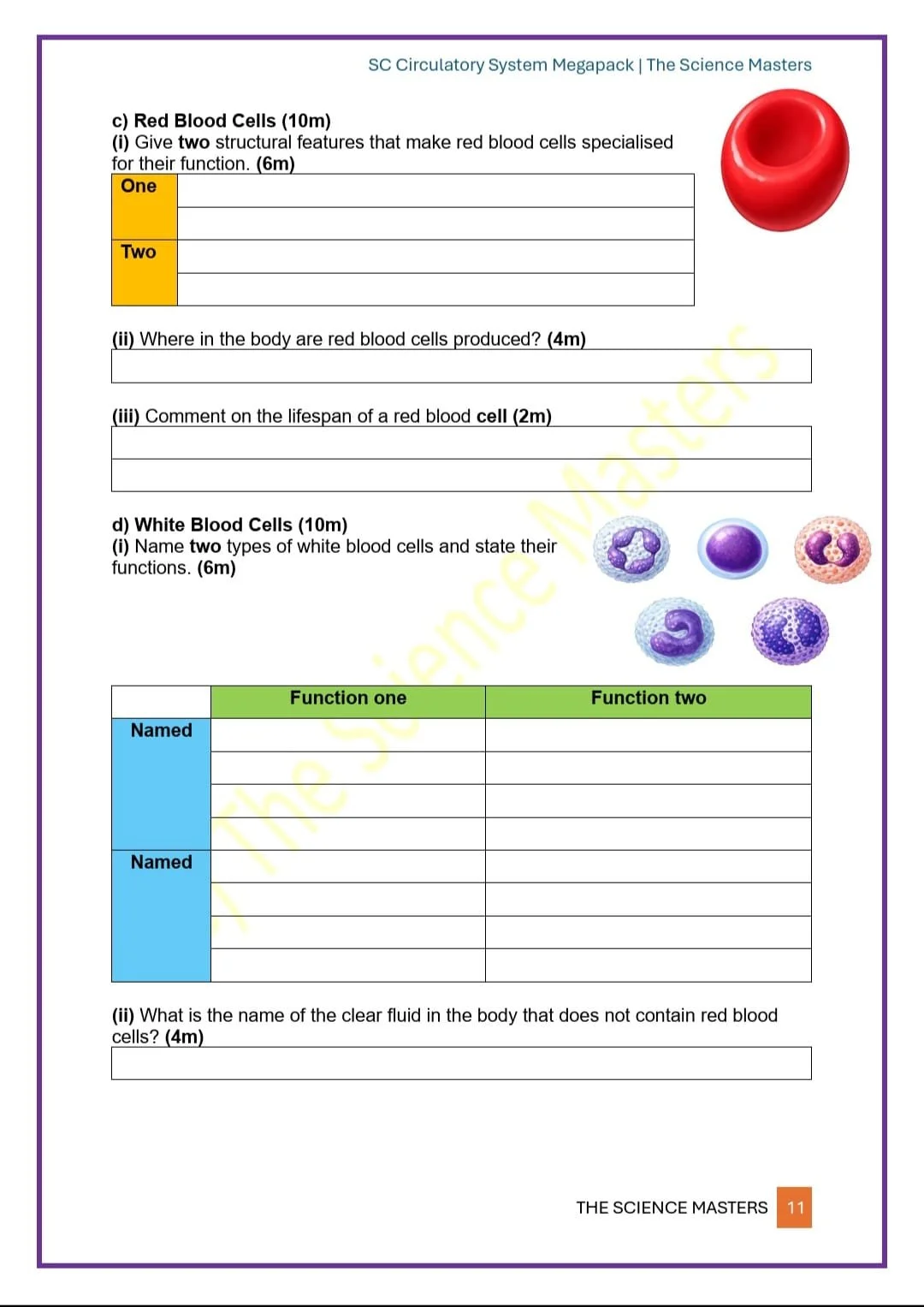 WhatsApp Image 2026-04-06 at 20.10.54 (2).jpeg