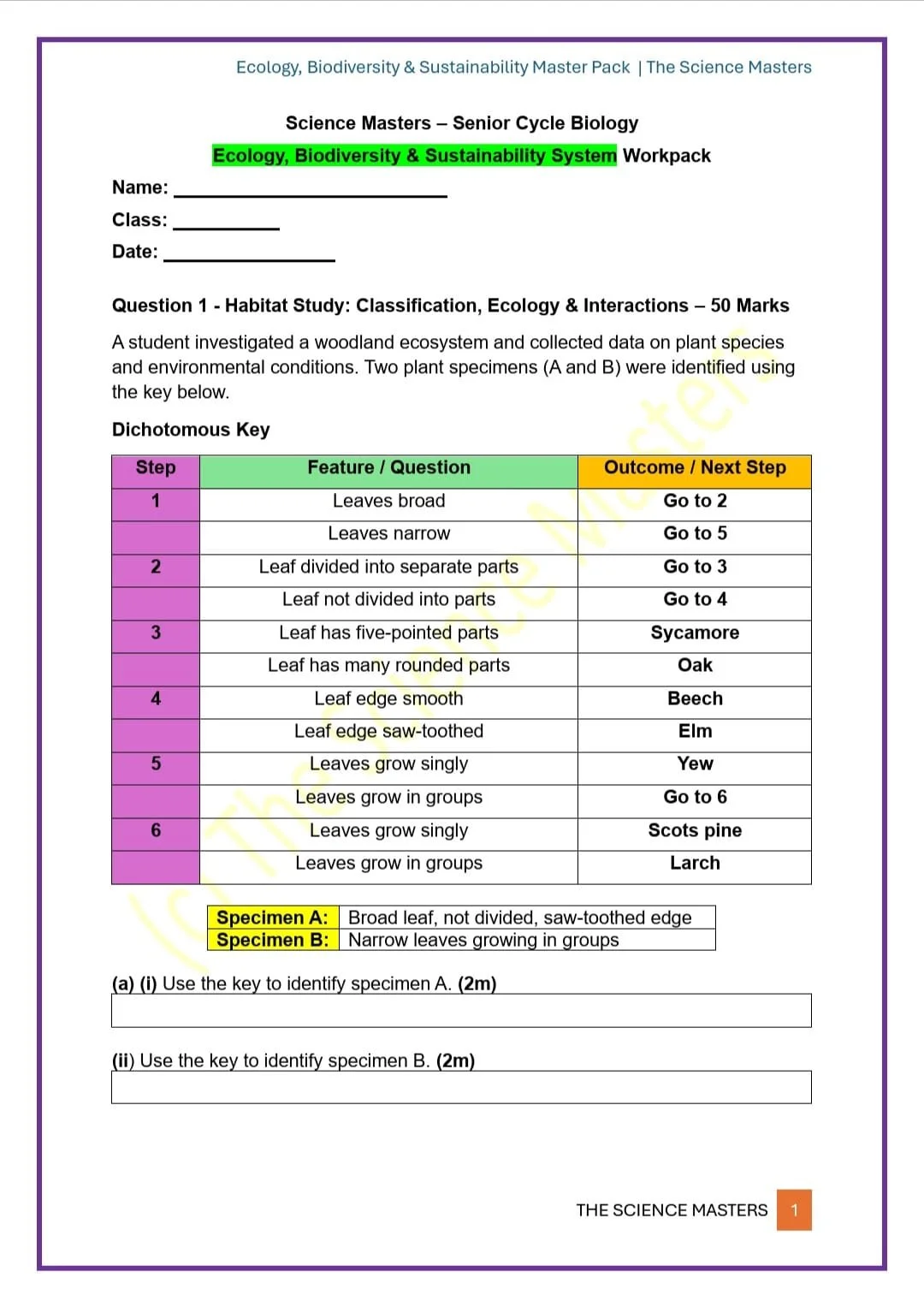 WhatsApp Image 2026-04-07 at 22.30.55.jpeg