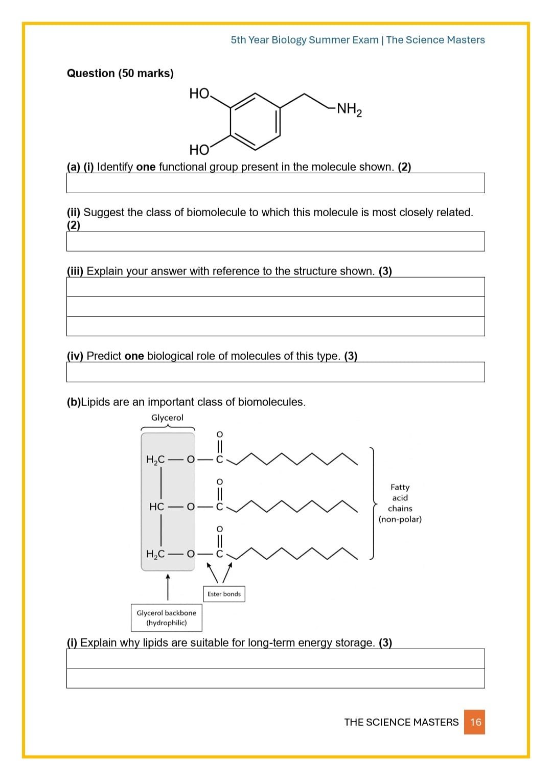 WhatsApp Image 2026-04-13 at 00.34.16 (8).jpeg