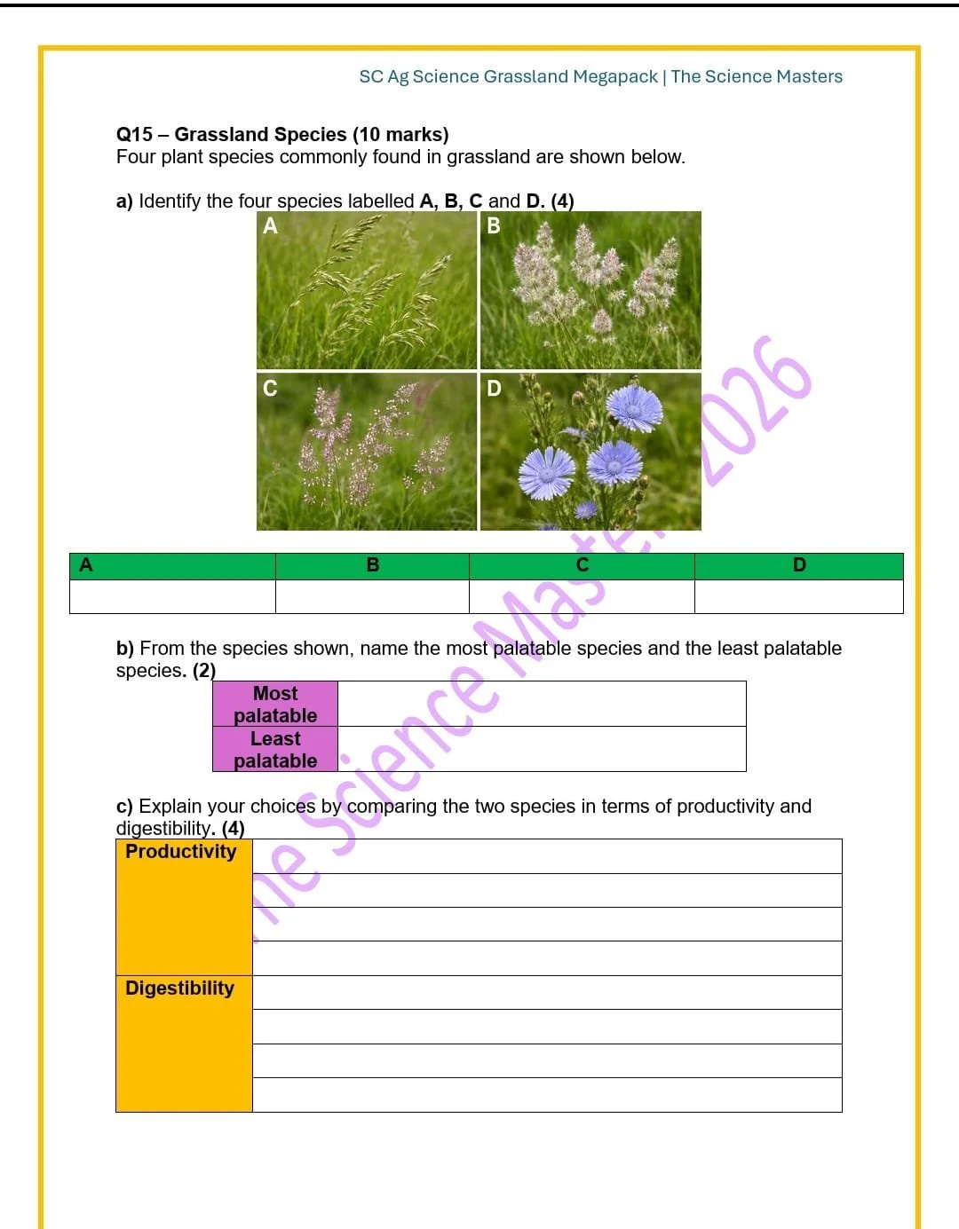 WhatsApp Image 2026-03-31 at 19.13.59.jpeg