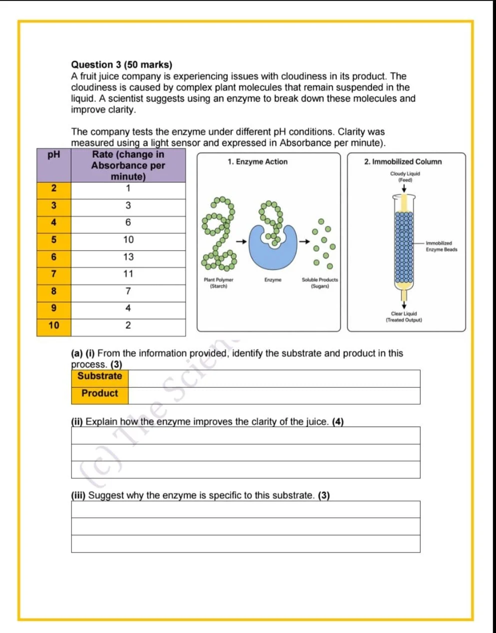 WhatsApp Image 2026-04-21 at 18.50.05 (1).jpeg