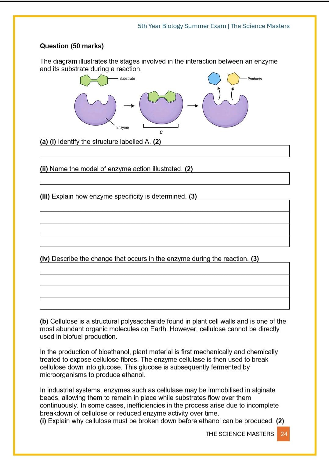 WhatsApp Image 2026-04-13 at 00.34.16 (7).jpeg