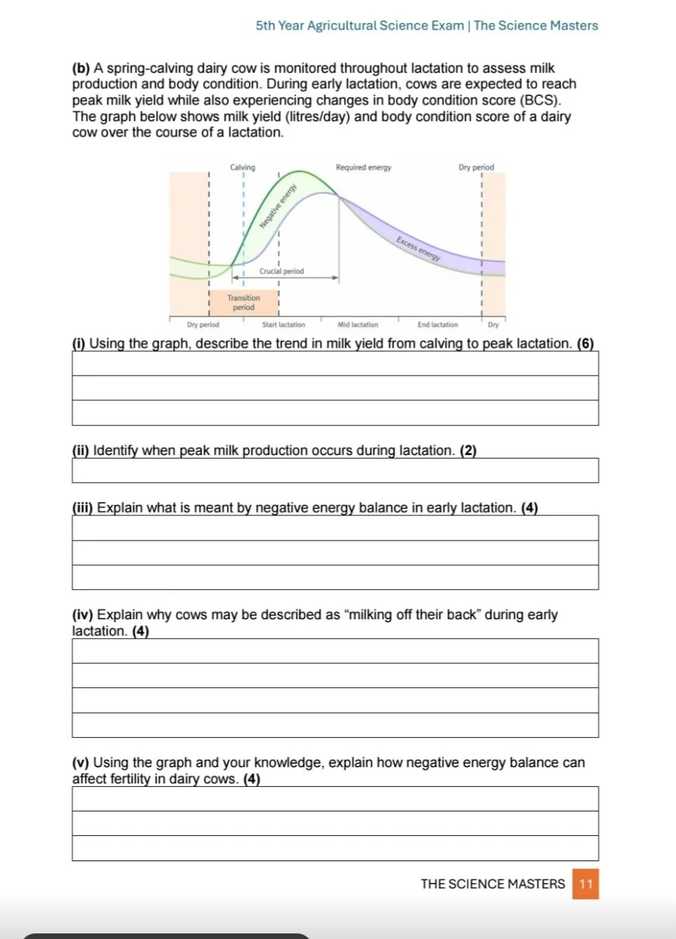 WhatsApp Image 2026-04-24 at 01.08.16 (1).jpeg