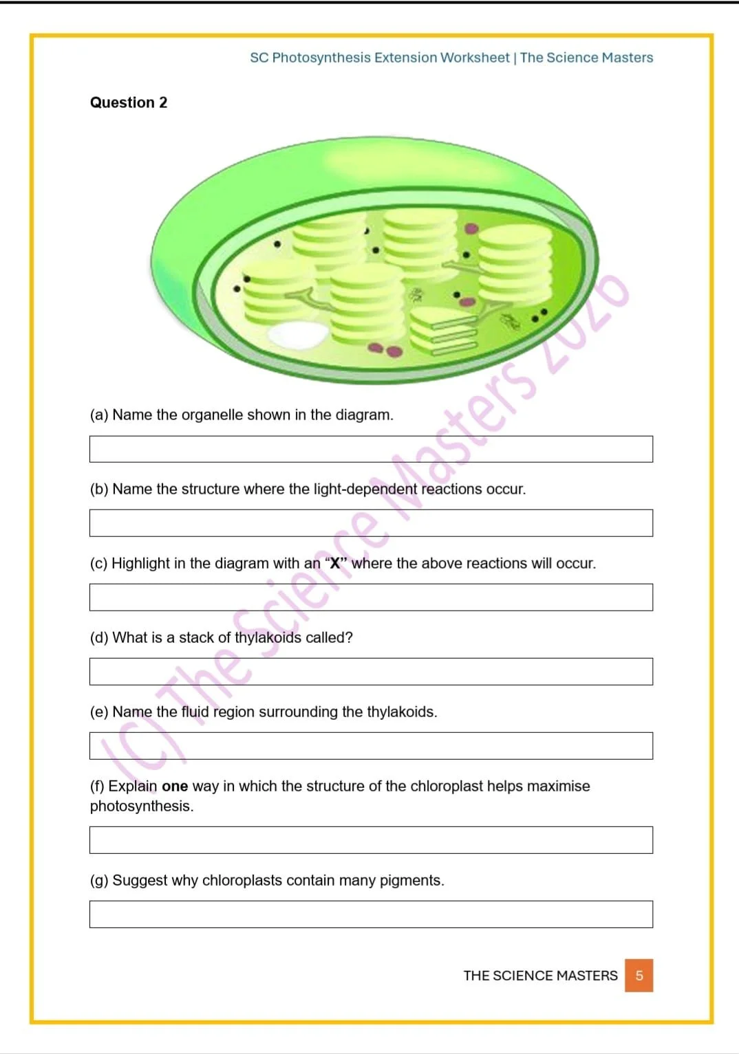 WhatsApp Image 2026-03-11 at 23.36.46.jpeg