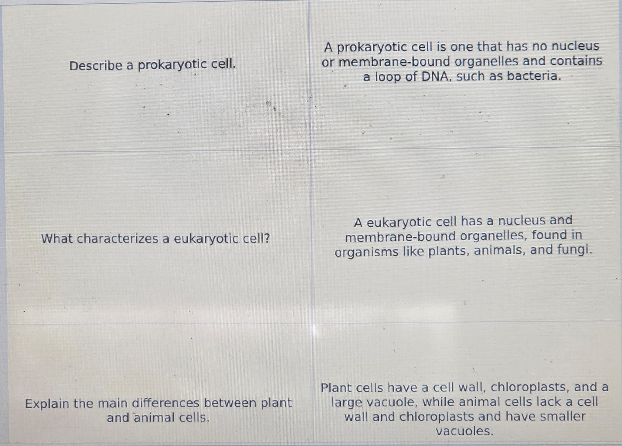 WhatsApp Image 2025-12-12 at 21.40.23.jpeg