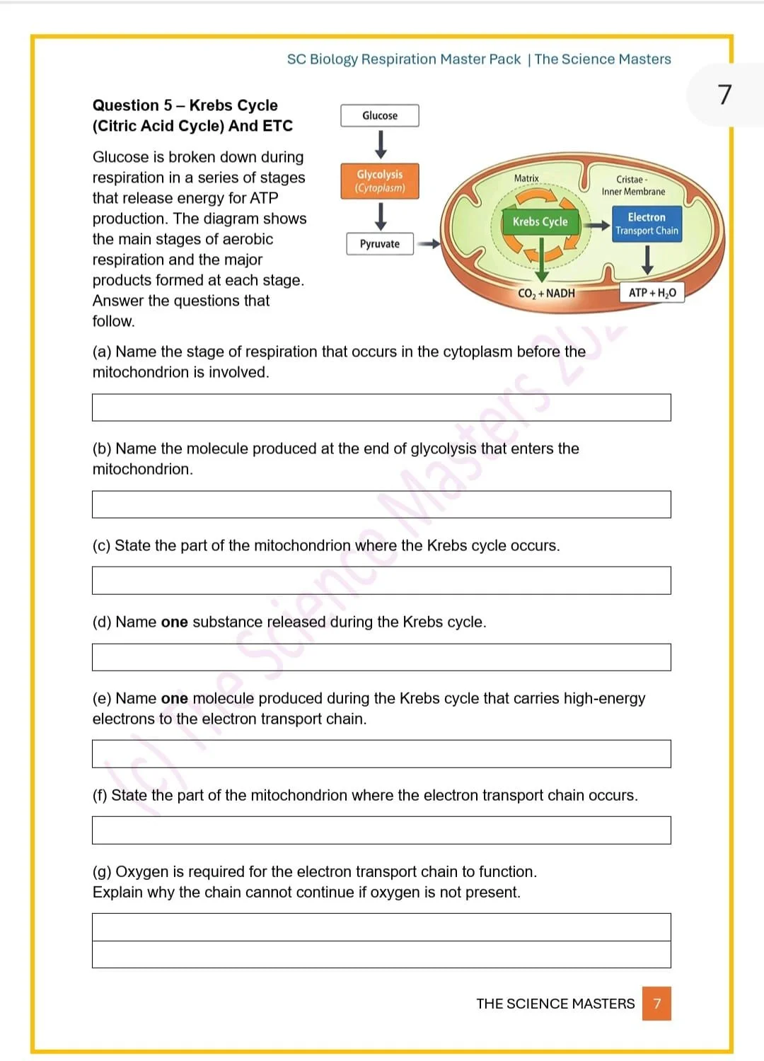 WhatsApp Image 2026-03-10 at 00.03.59.jpeg