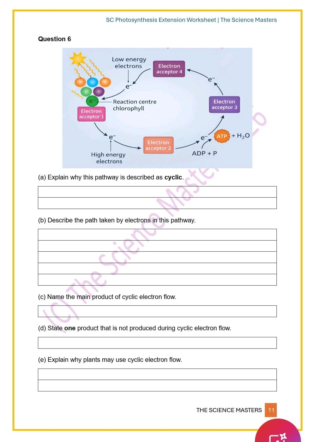 WhatsApp Image 2026-03-11 at 23.36.47.jpeg