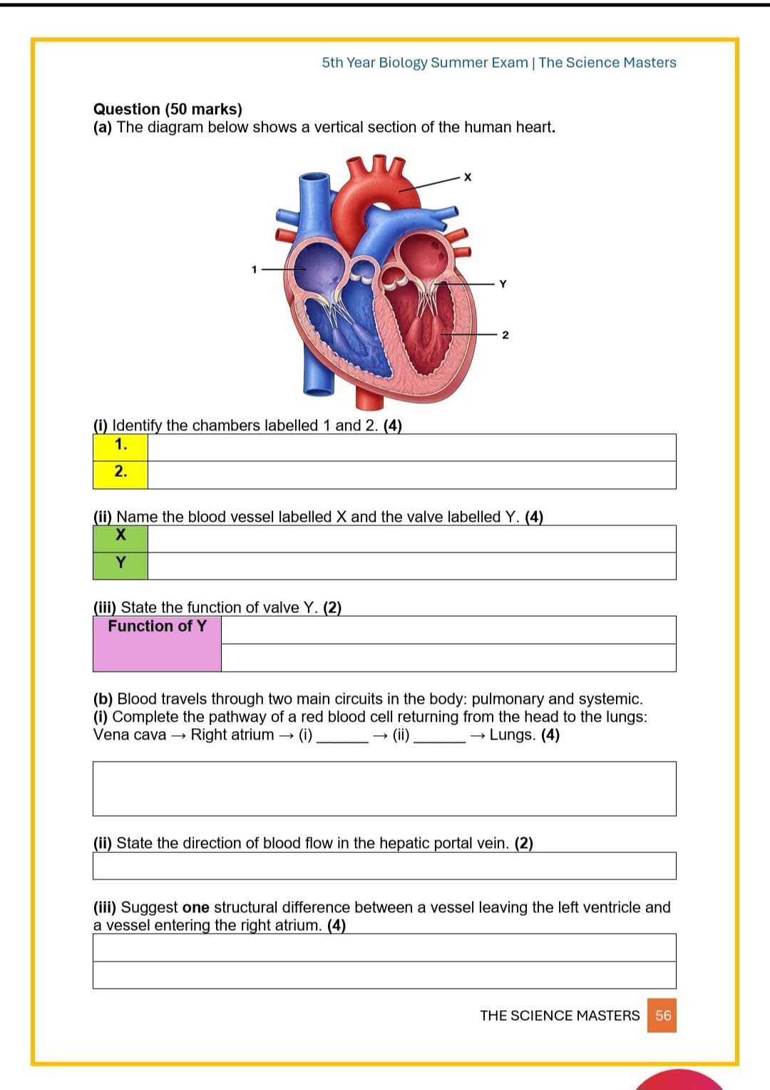WhatsApp Image 2026-04-13 at 00.34.16 (3).jpeg