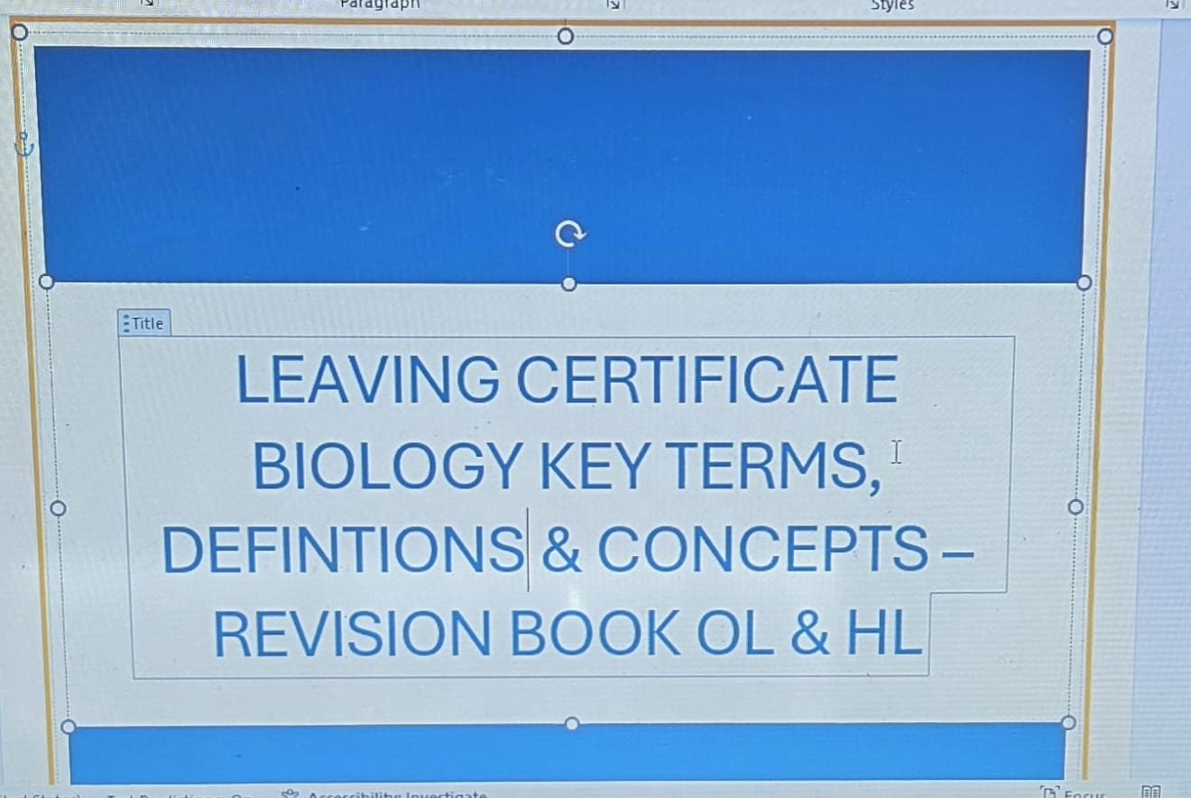 WhatsApp Image 2025-12-16 at 18.09.08 (1).jpeg