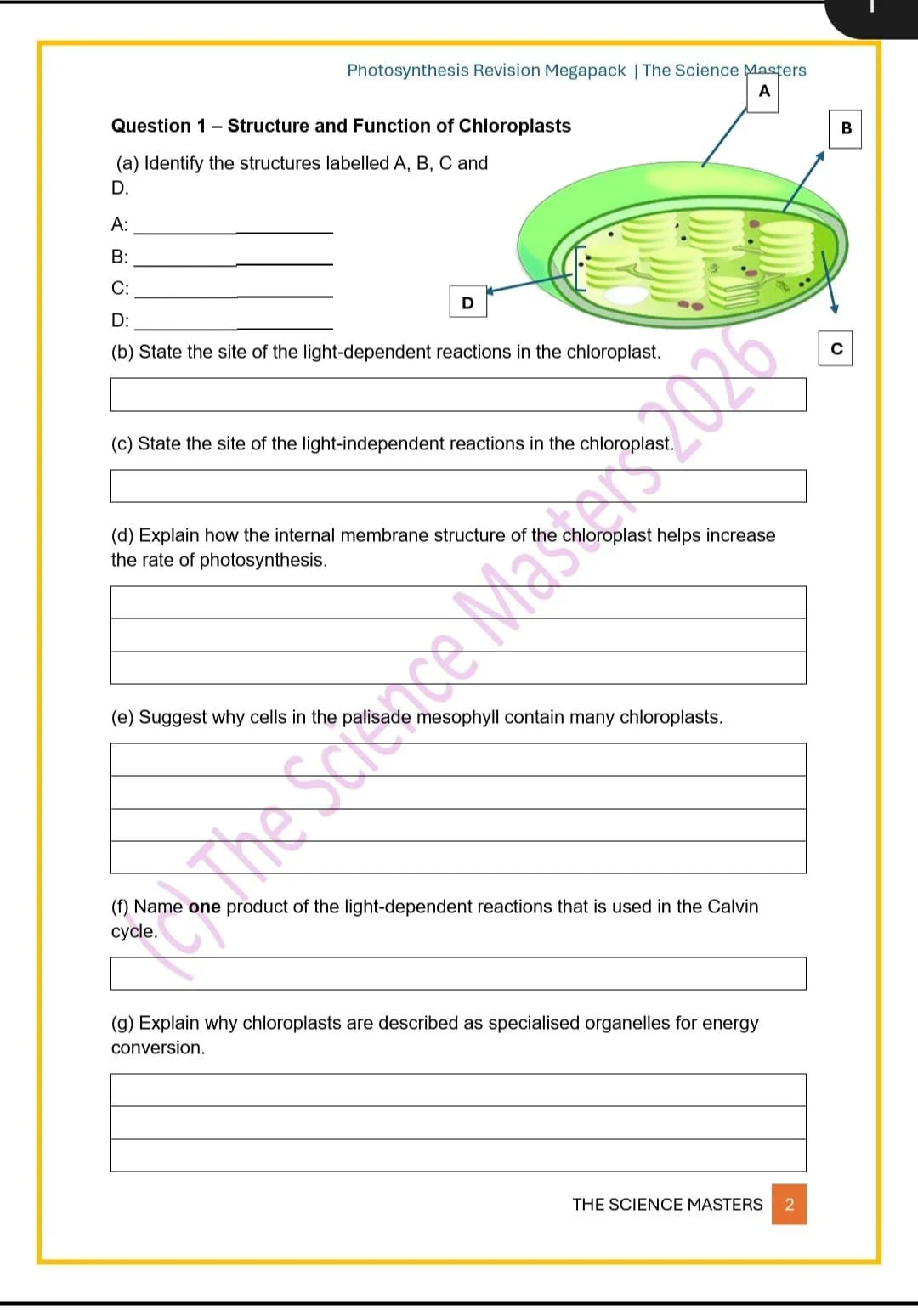 WhatsApp Image 2026-03-08 at 16.22.07.jpeg