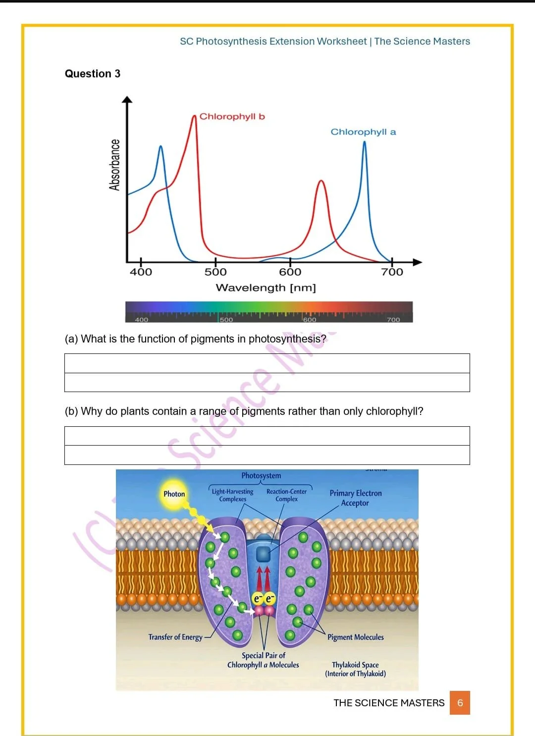 WhatsApp Image 2026-03-11 at 23.36.46 (1).jpeg