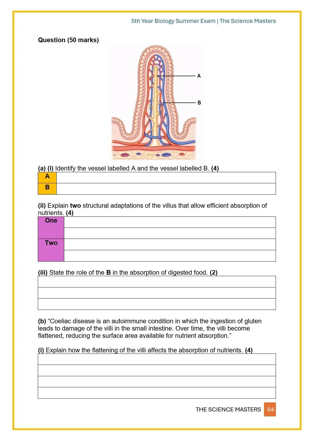 WhatsApp Image 2026-04-13 at 00.34.16.jpeg