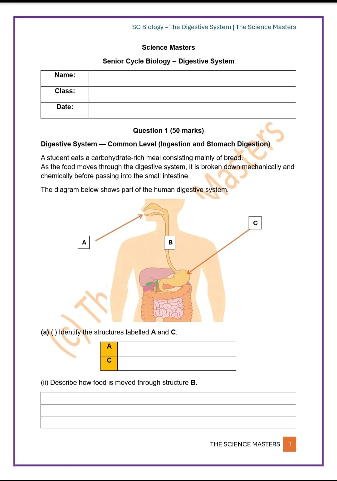 WhatsApp Image 2026-03-25 at 18.49.30.jpeg
