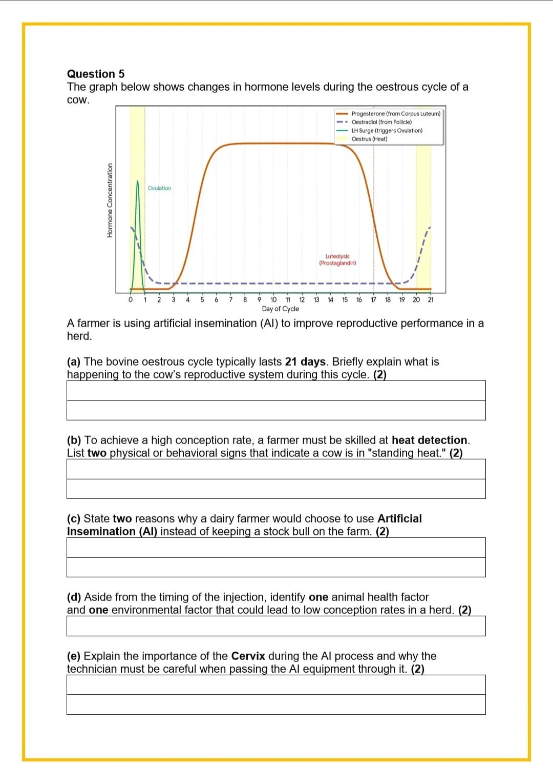 WhatsApp Image 2026-04-02 at 16.31.16 (1).jpeg