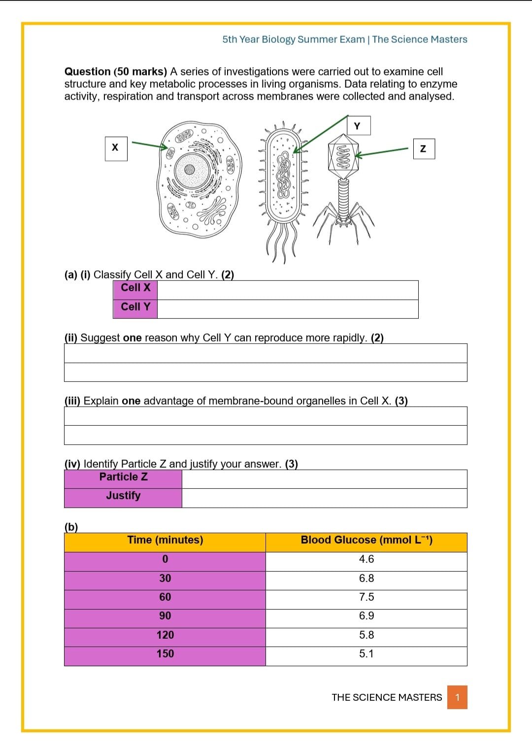 WhatsApp Image 2026-04-13 at 00.34.16 (9).jpeg