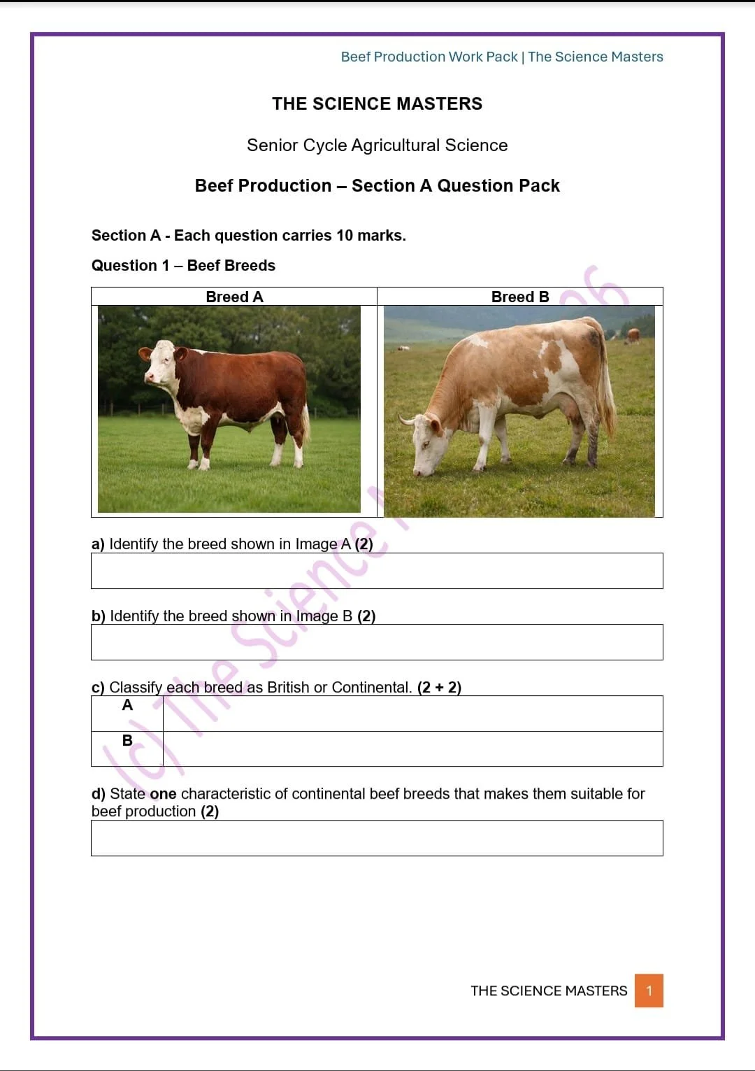 WhatsApp Image 2026-03-16 at 20.41.28.jpeg