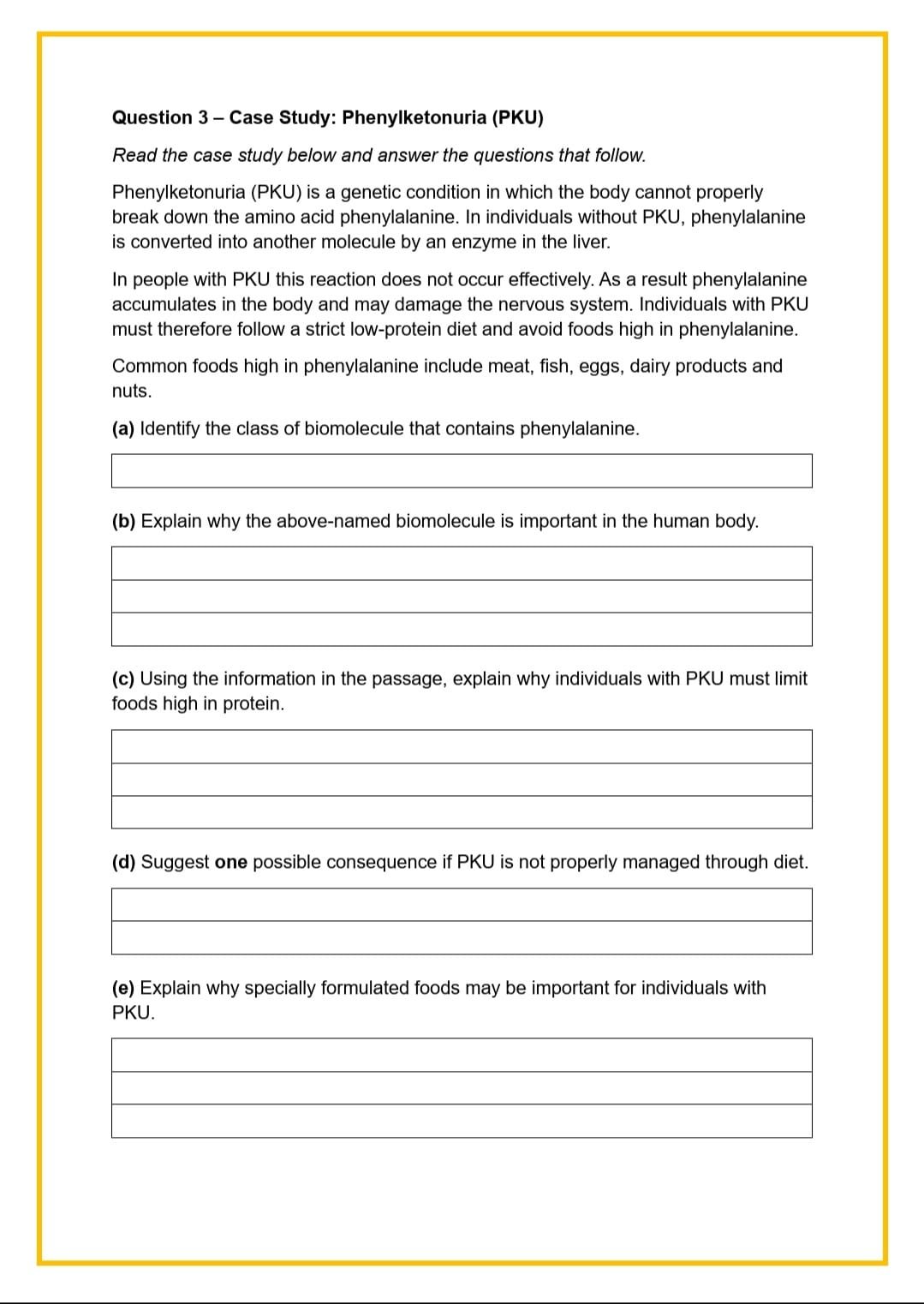 WhatsApp Image 2026-03-12 at 18.37.02 (1).jpeg