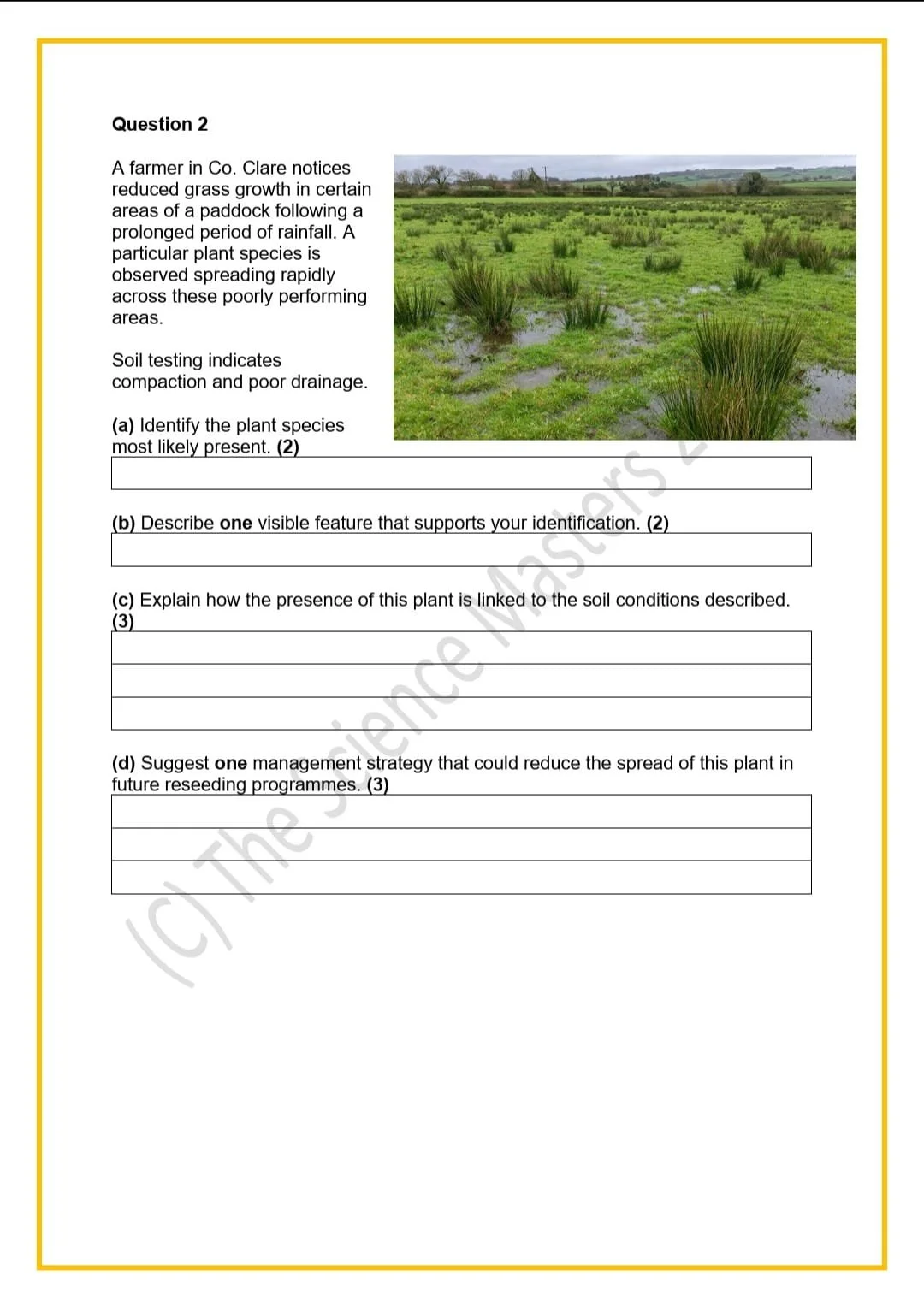 WhatsApp Image 2026-04-02 at 18.59.48.jpeg