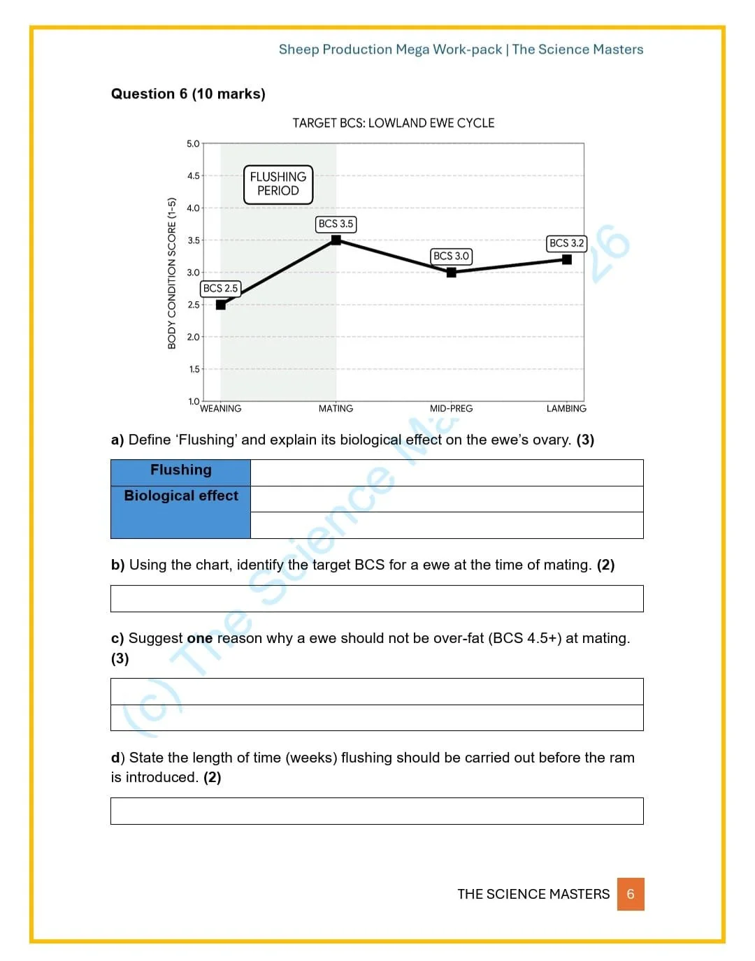 WhatsApp Image 2026-03-21 at 21.28.35 (1).jpeg