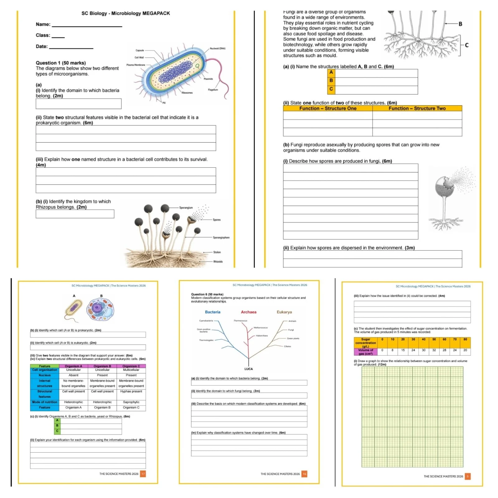 WhatsApp Image 2026-04-23 at 11.48.40.jpeg