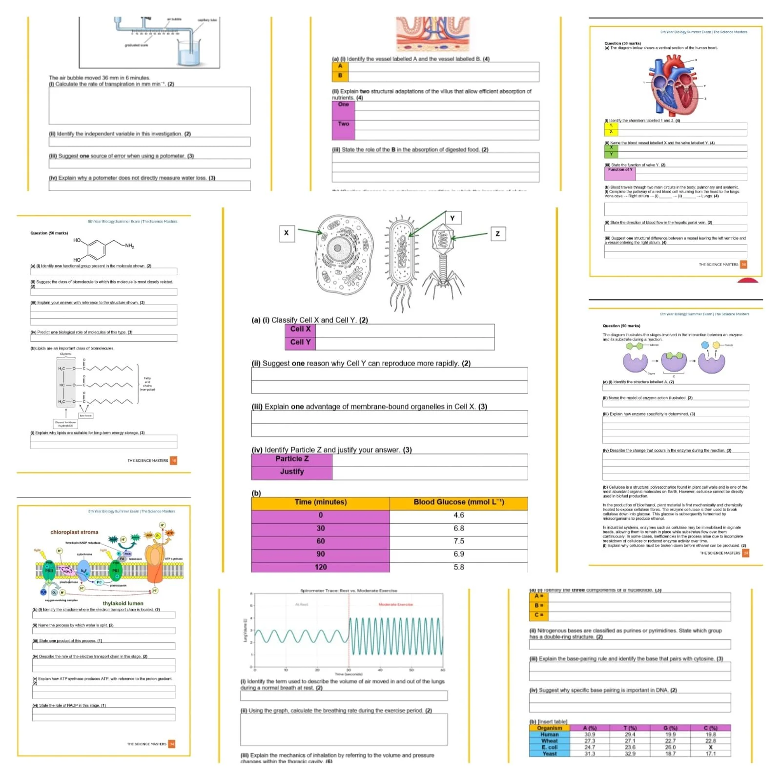 WhatsApp Image 2026-04-23 at 11.48.41 (2).jpeg