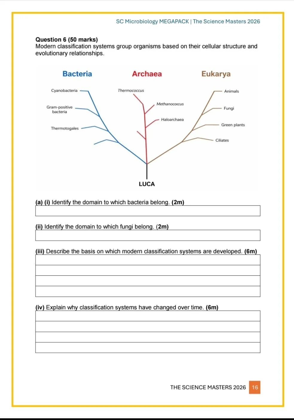 WhatsApp Image 2026-04-22 at 19.19.37 (3).jpeg