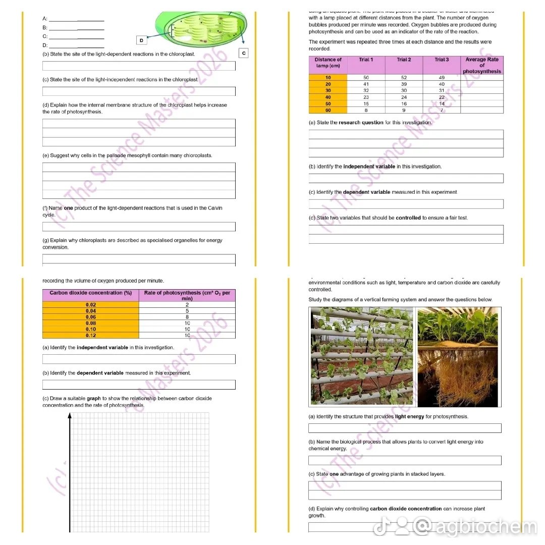 WhatsApp Image 2026-04-23 at 11.48.42 (1).jpeg