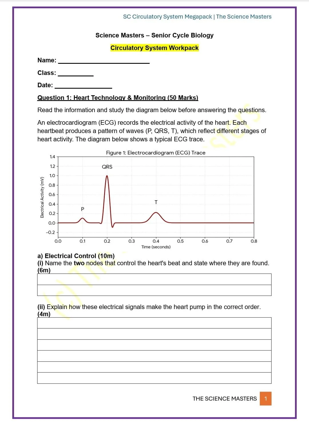 WhatsApp Image 2026-04-06 at 20.10.54.jpeg