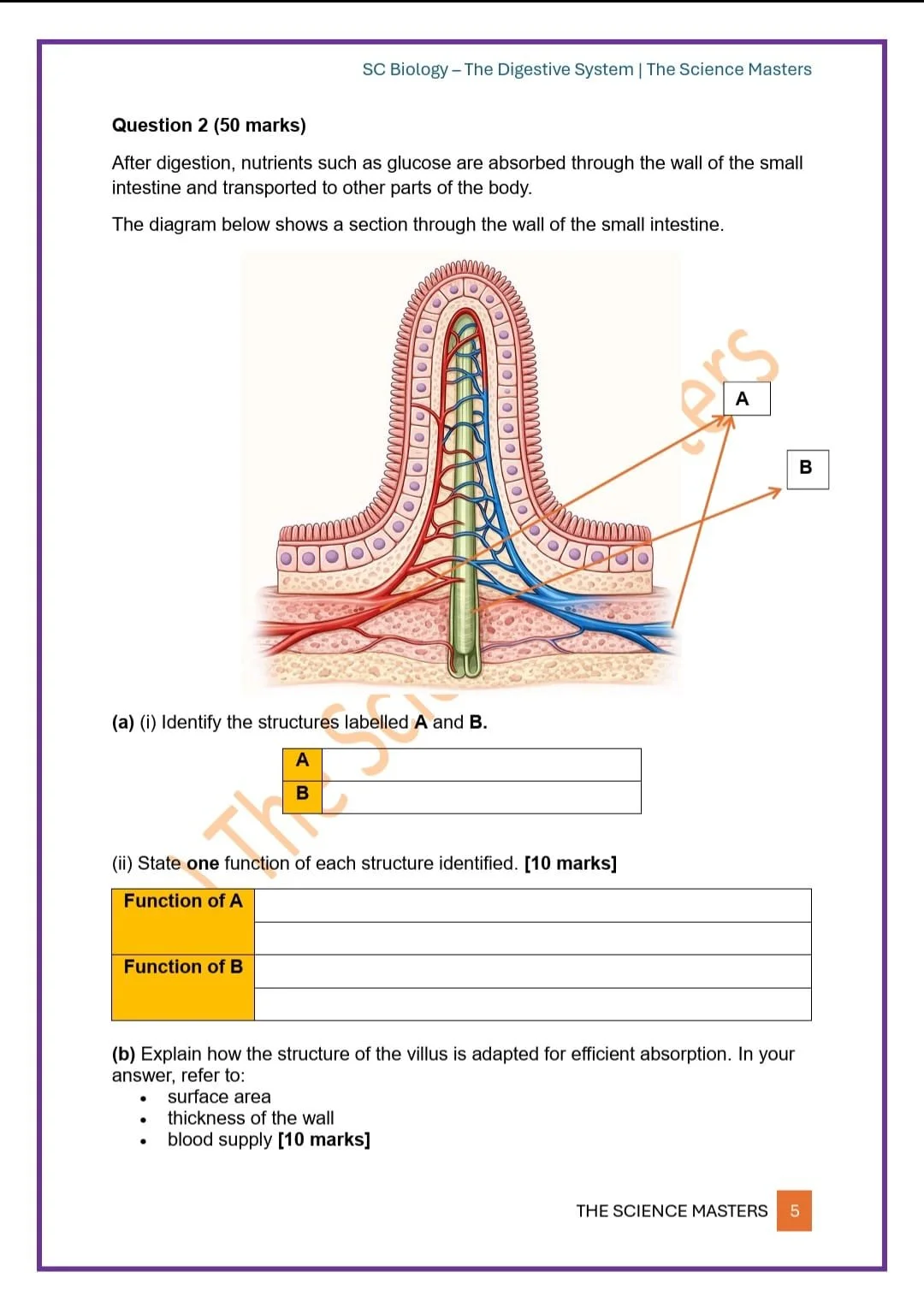 WhatsApp Image 2026-03-25 at 18.49.30 (1).jpeg