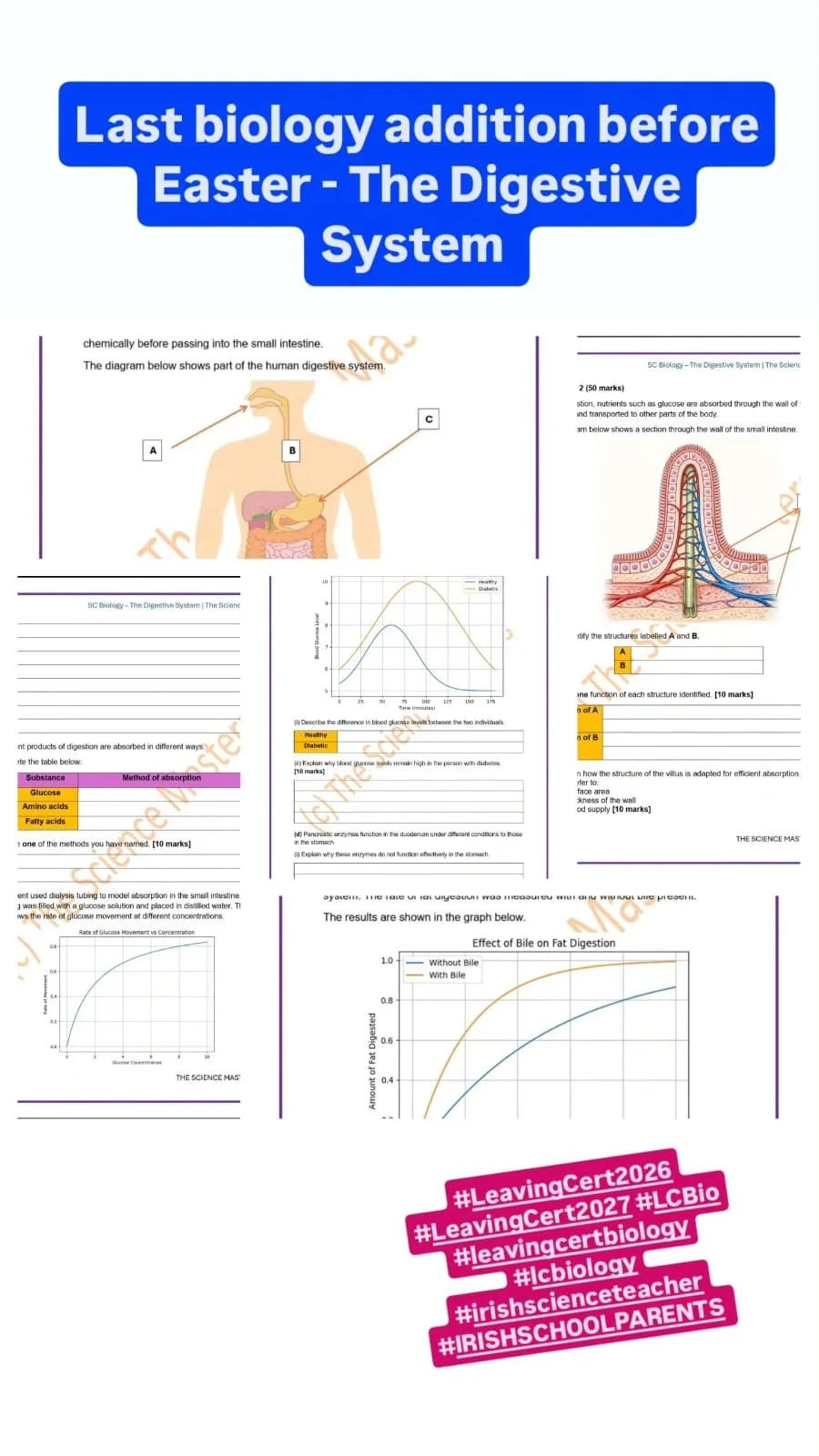 WhatsApp Image 2026-04-23 at 11.48.42.jpeg