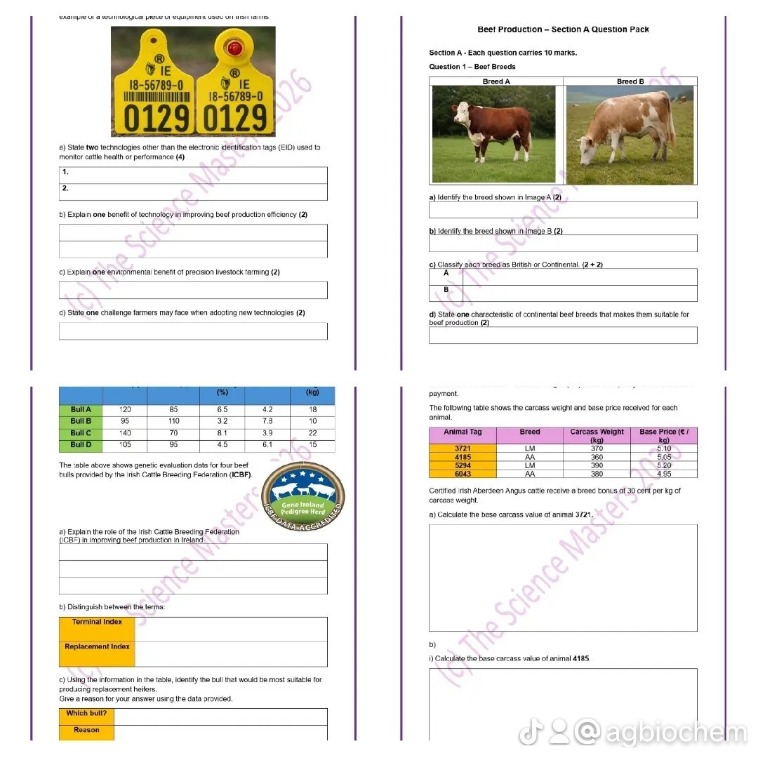 WhatsApp Image 2026-04-23 at 11.32.46 (1).jpeg