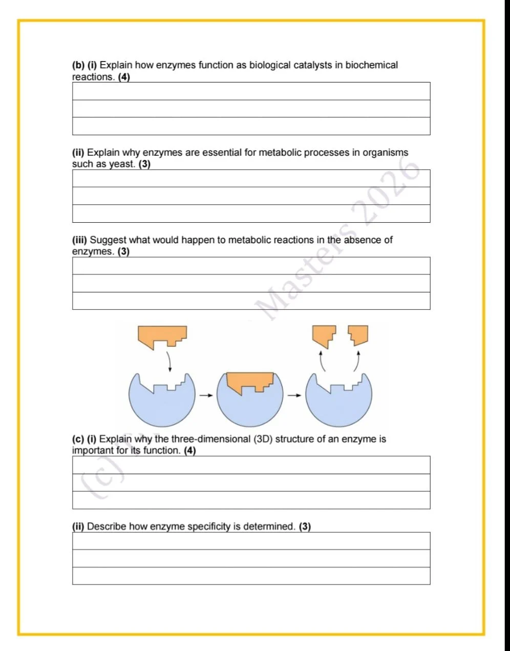 WhatsApp Image 2026-04-21 at 18.50.05.jpeg