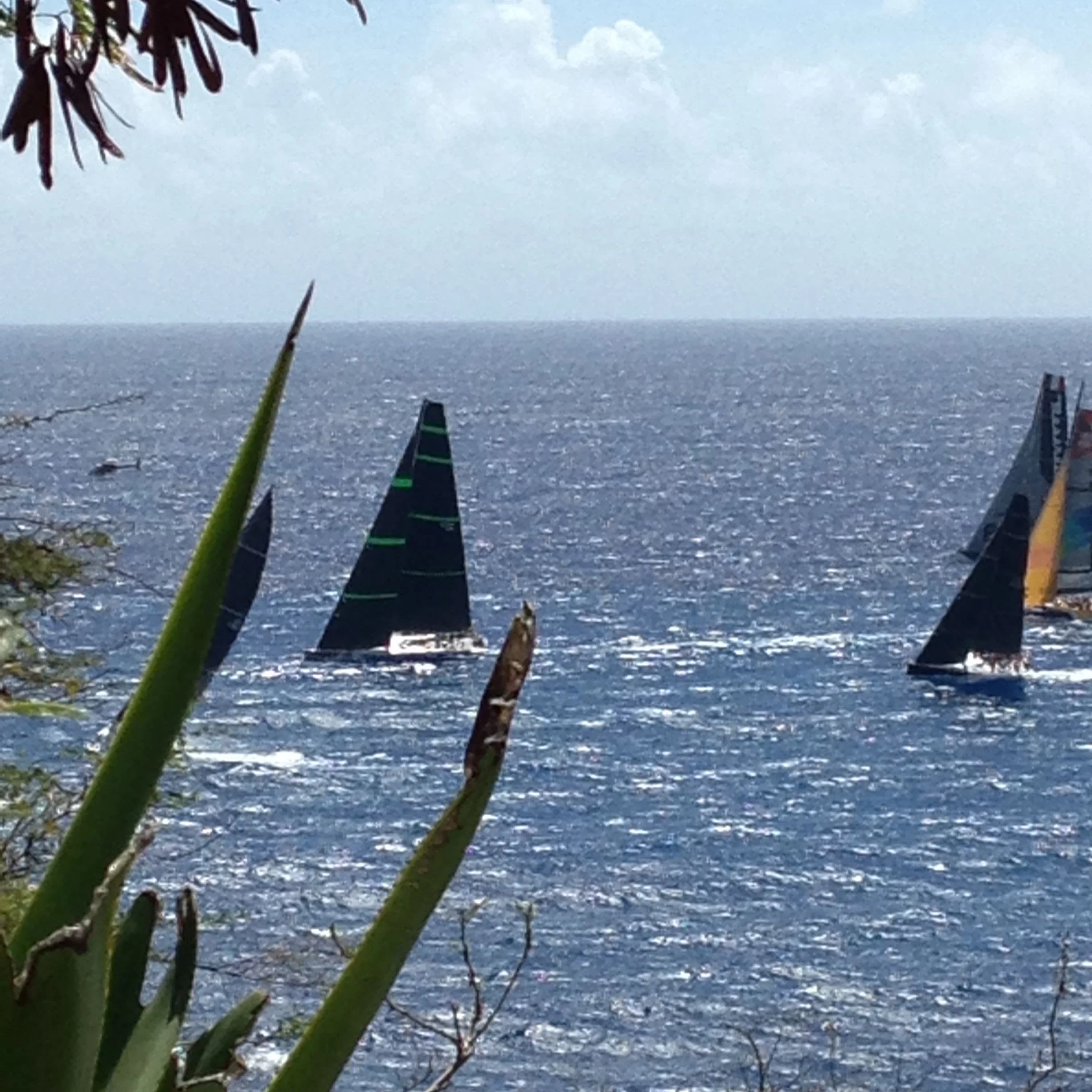RORC 600 Has Begun!