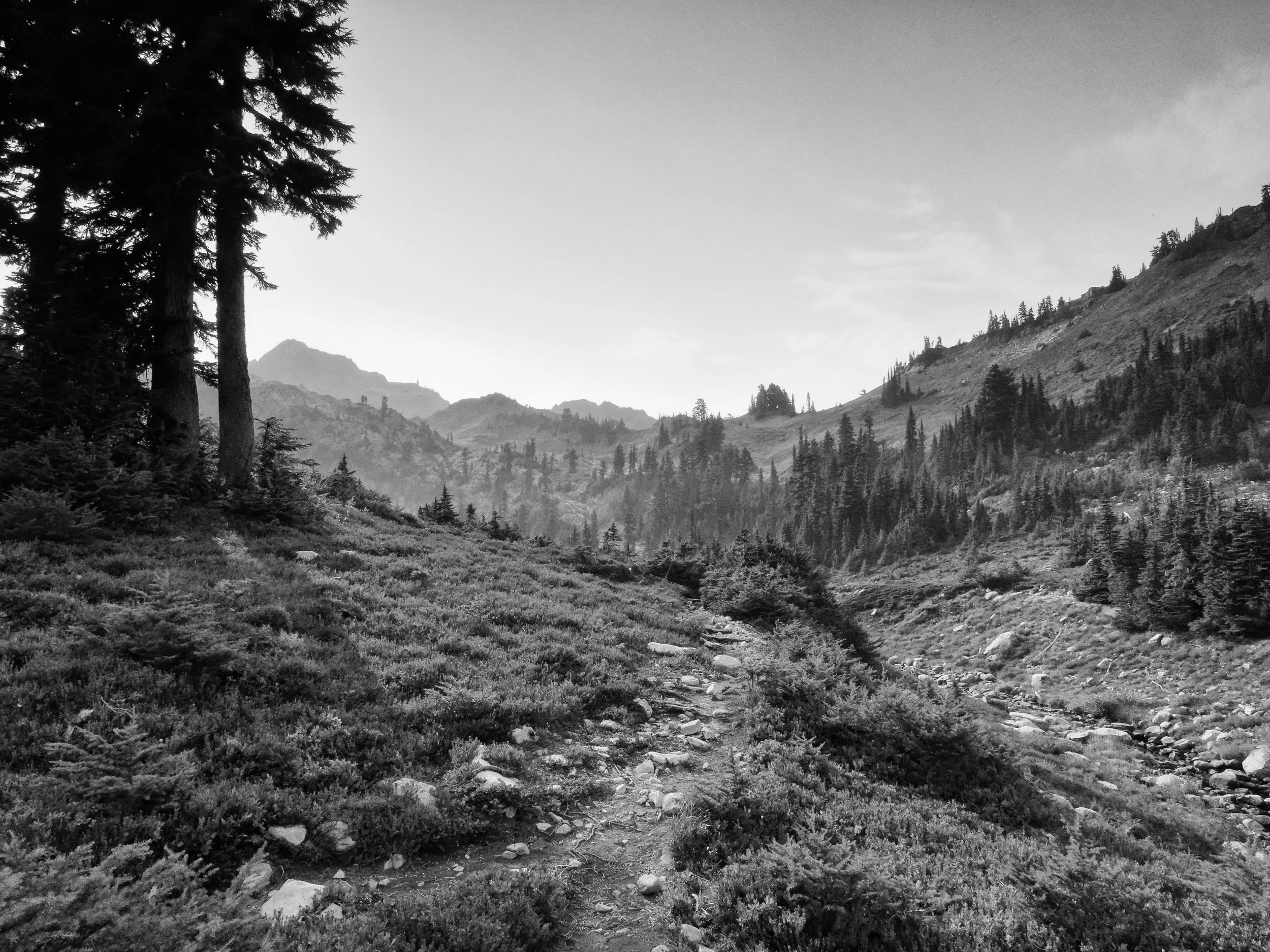 Olympic National Park