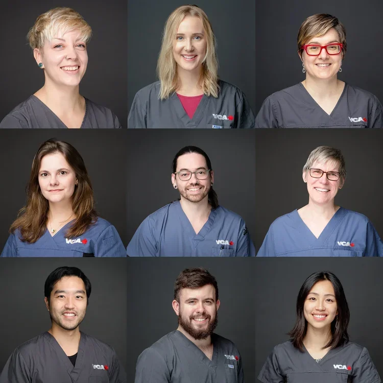 Collage of nine diverse medical professionals wearing gray or blue scrubs, smiling against a dark background.