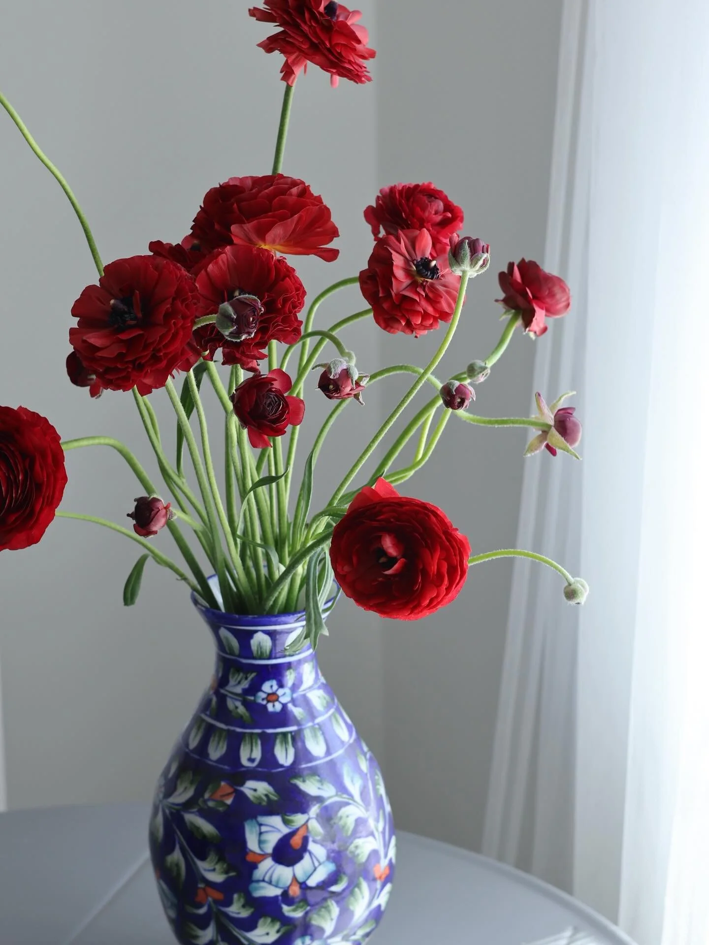 Begin with red, and let it bloom all through February. 🌹✨

#redforfebruary #sheffield #meadowhall