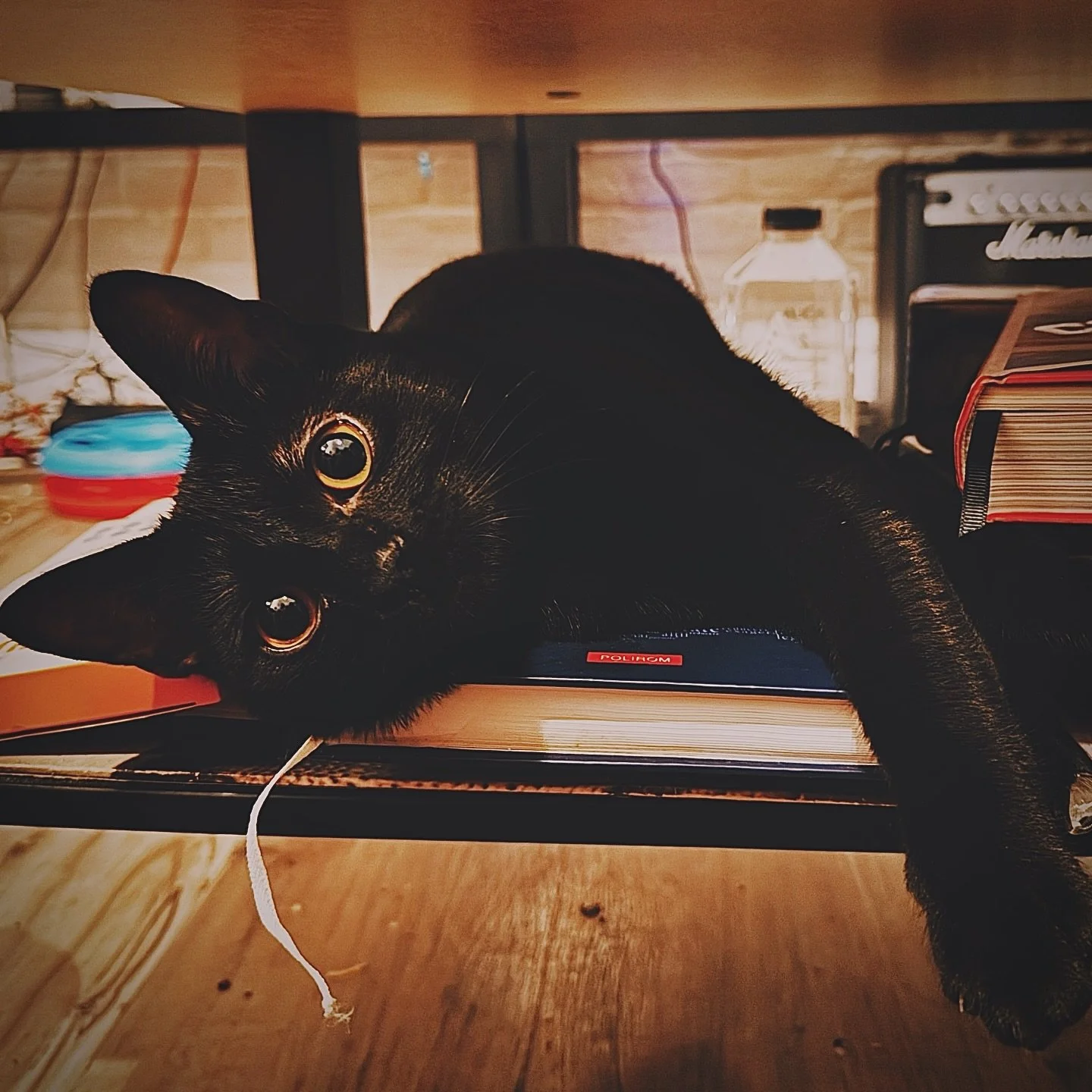 Hey, dragule. 

Stăm &icirc;mpreună de vreo două luni și ai ajuns la punctul &icirc;n care ești vizibil fericit. &Icirc;mi dau seama după &icirc;ți bagi nasul &icirc;n pizza mea c&acirc;nd măn&acirc;nc. 

C&acirc;nd ți se luminează fața și c&acirc;nd