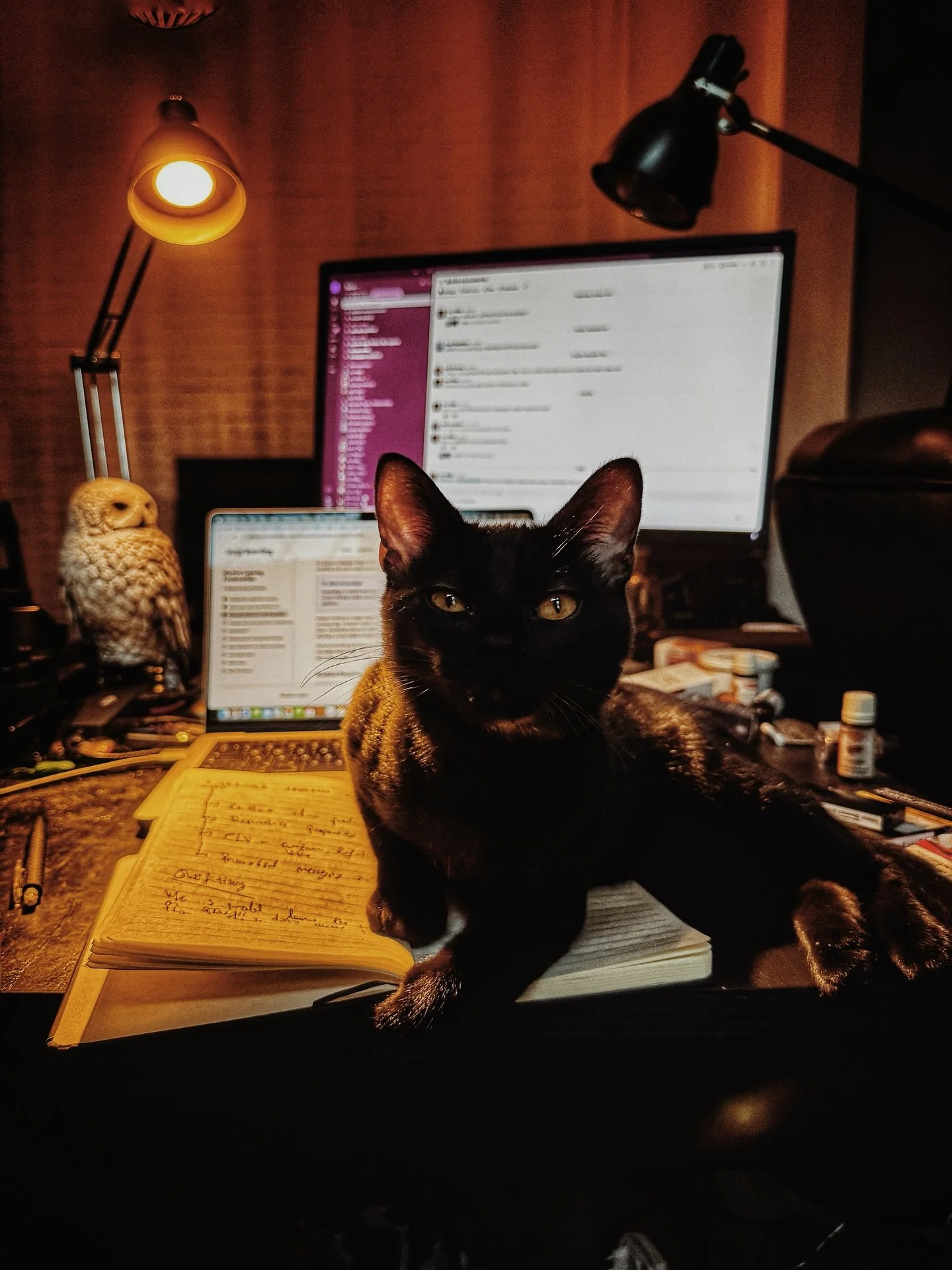 I am trying to work and the CEO wanted an impromptu meeting.