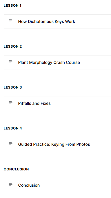 Module structure showing lesson progression and logic.