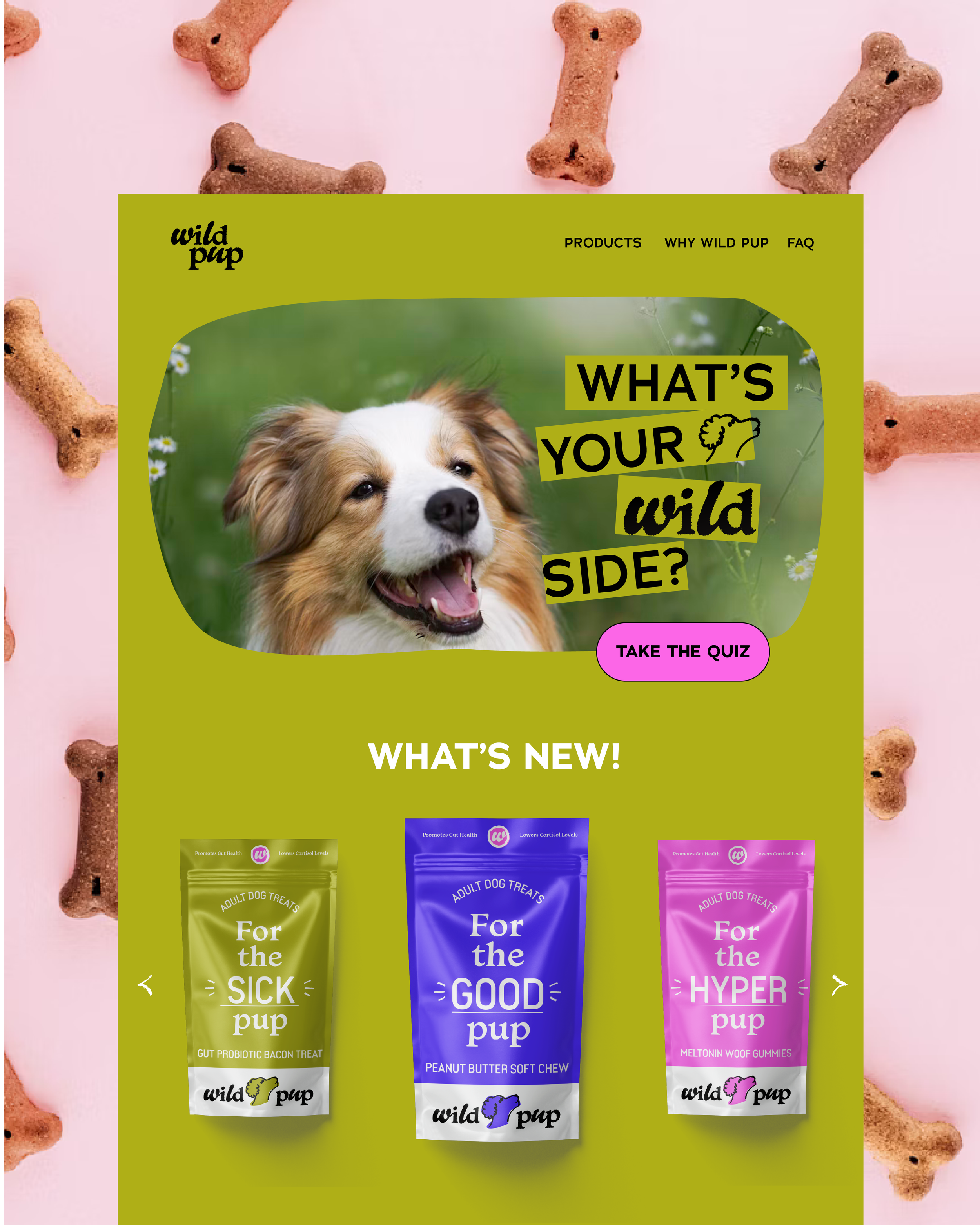 A webpage showing dog treats with the title 'What's your wild side?' and a photo of a happy dog. There are three different treat packages: green for sick puppy, blue for good puppy, and pink for hyper puppy. Background has scattered dog biscuits.