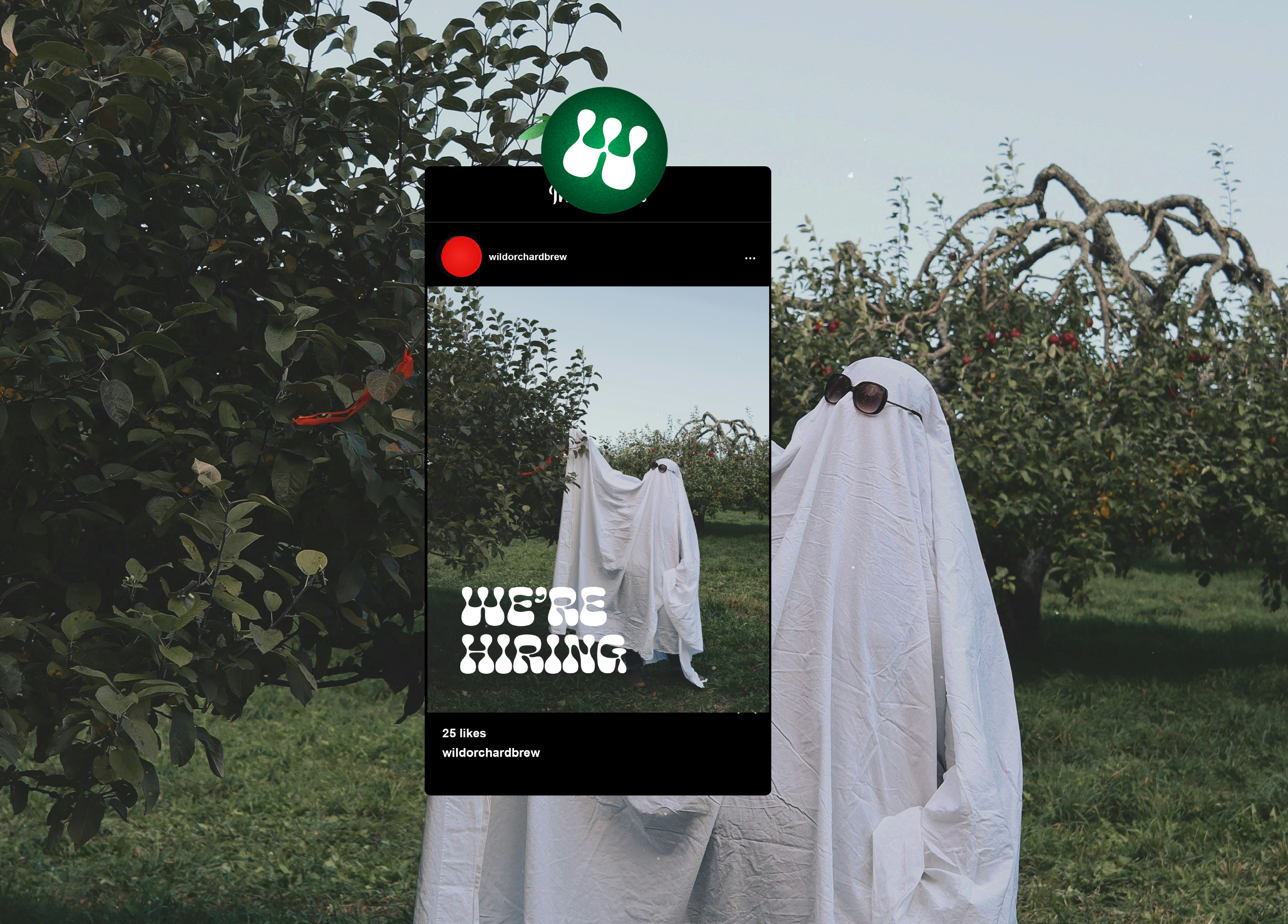 website designer vancouver