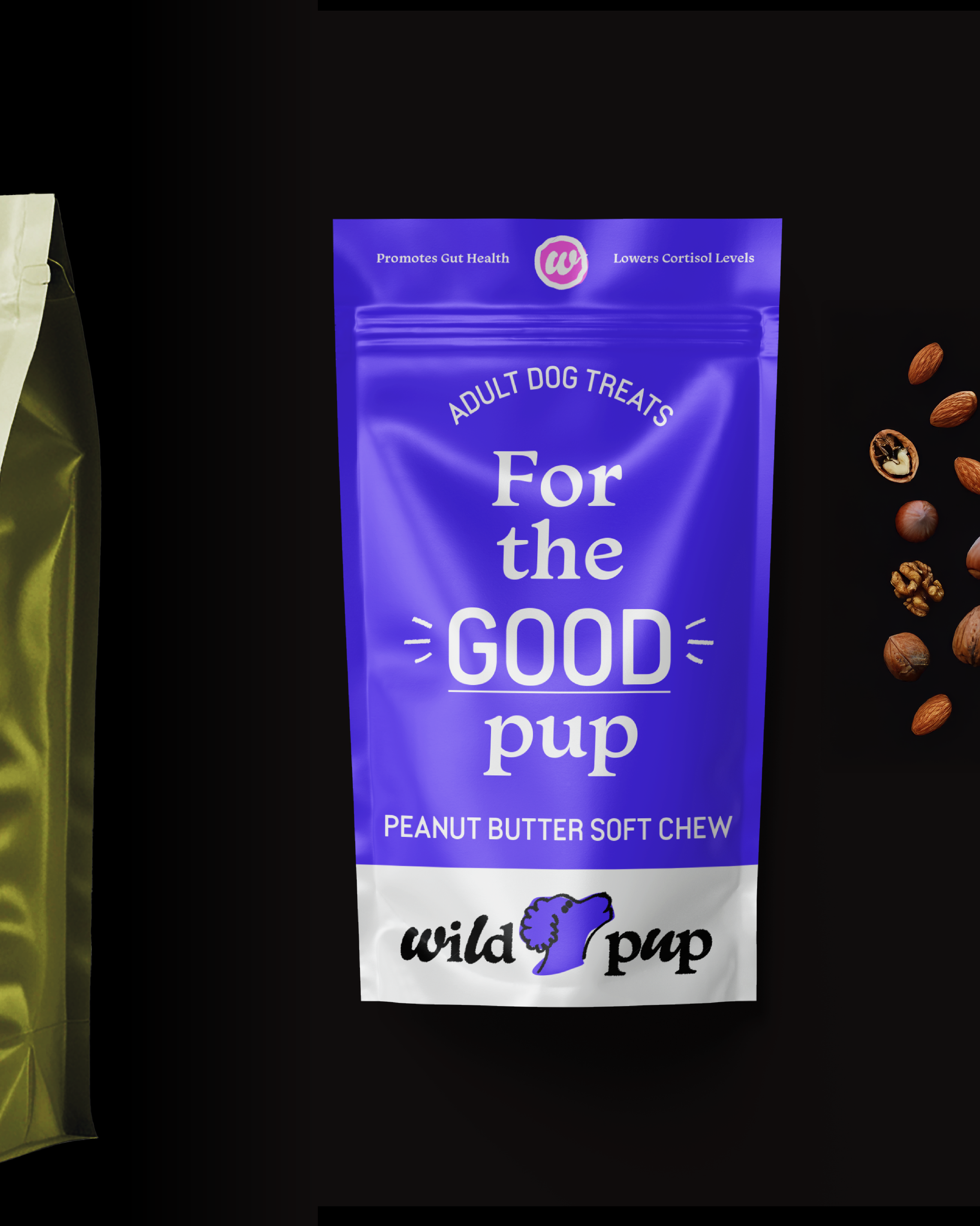 website designer coquitlam